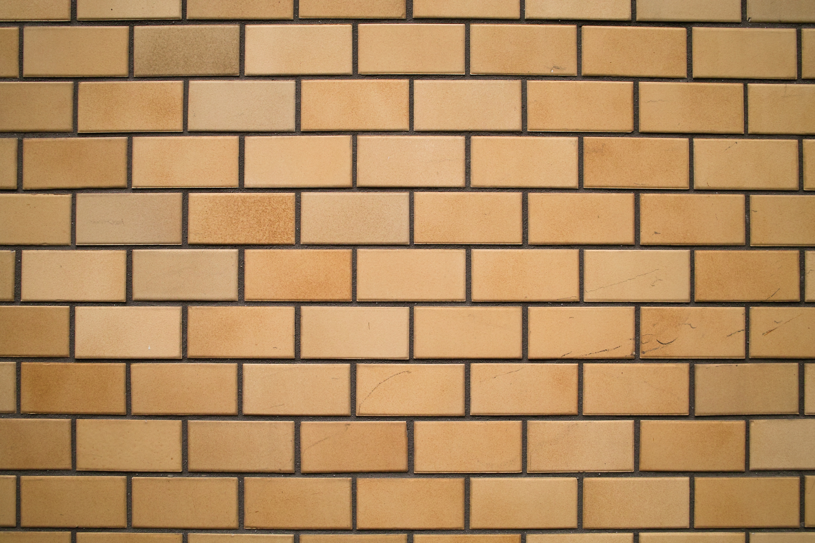 <b>F4<br>DP1x / 約1.5MB / 2,640×1,760 / 1/10秒 / +0.3EV / ISO100 / 16.6mm</b>