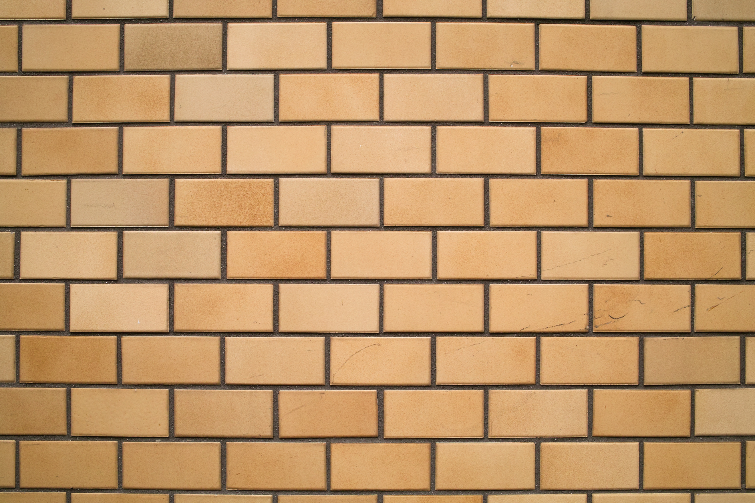 <b>F11<br>DP1x / 約1.5MB / 2,640×1,760 / 1/1.2秒 / +0.3EV / ISO100 / 16.6mm</b>