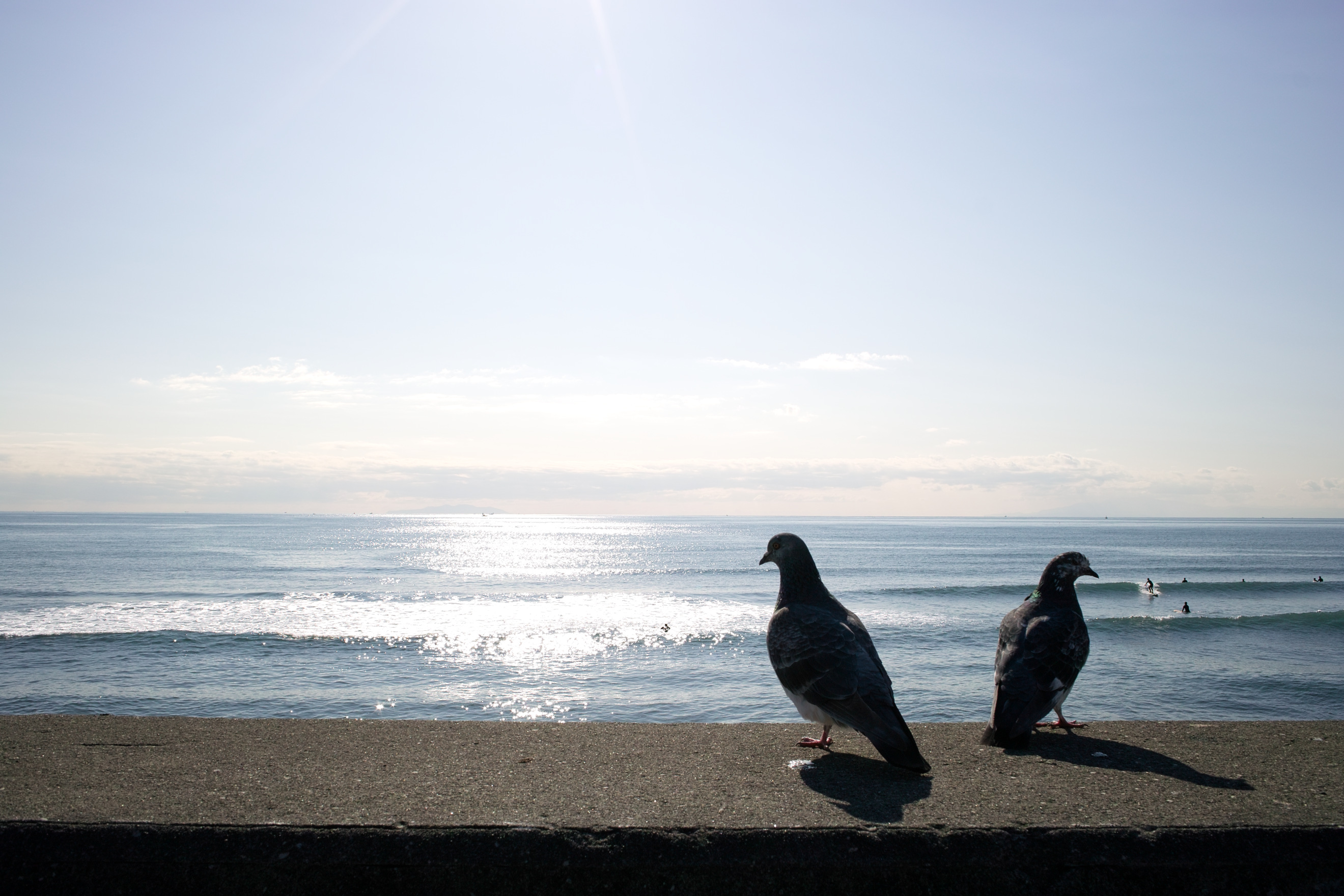 <b>DP1x / 約992K / 2,640×1,760 / 1/250秒 / F11 / -0.3EV / ISO100 / 16.6mm</b>