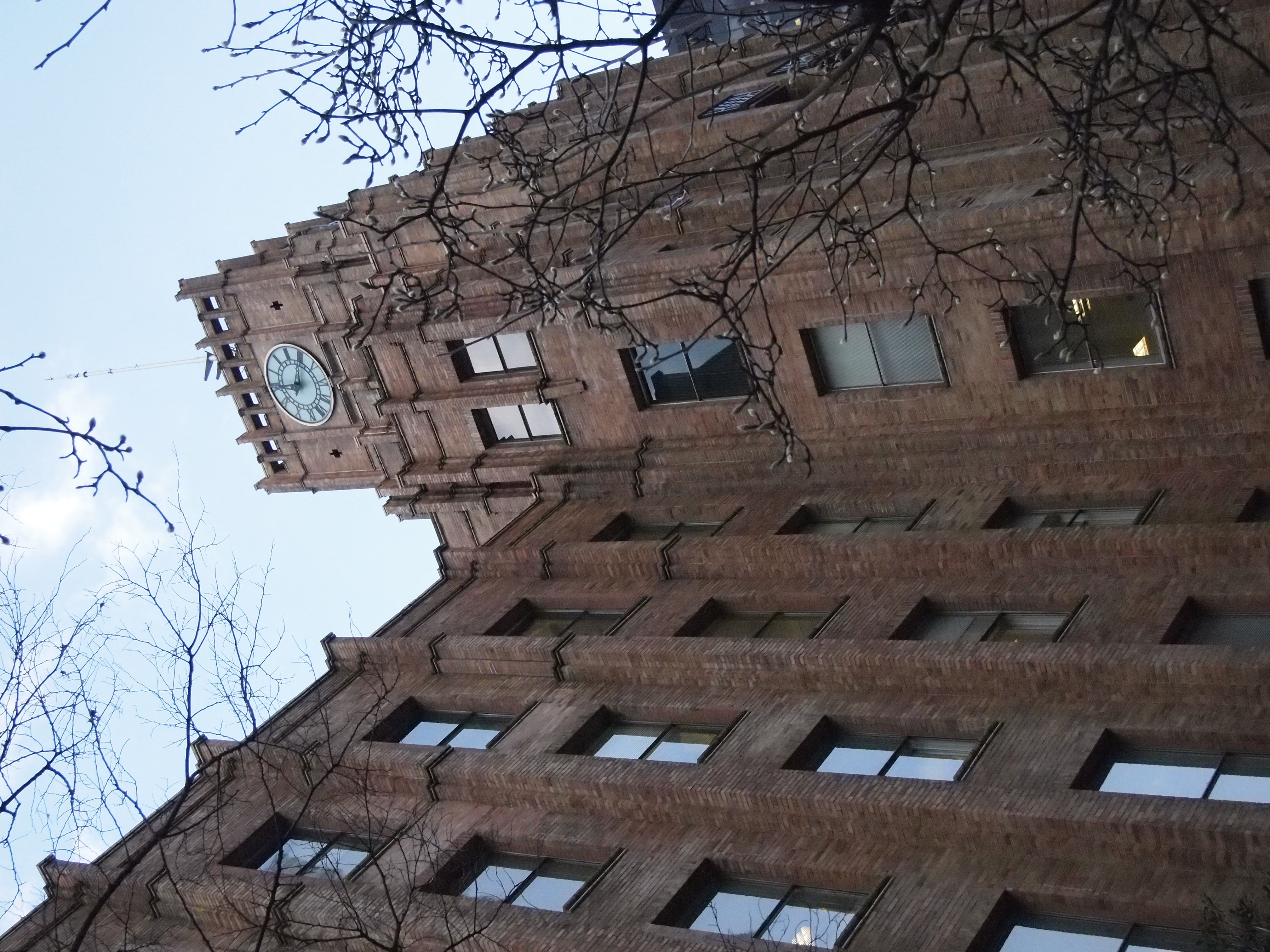 <b>ISO3200<br>E-PL2 / M.ZUIKO DIGITAL 14-42mm F3.5-5.6 II / 4,032×3,024 / 1/1,250秒 / F5.6 / -0.3EV / WB:太陽光 / 25mm</b>