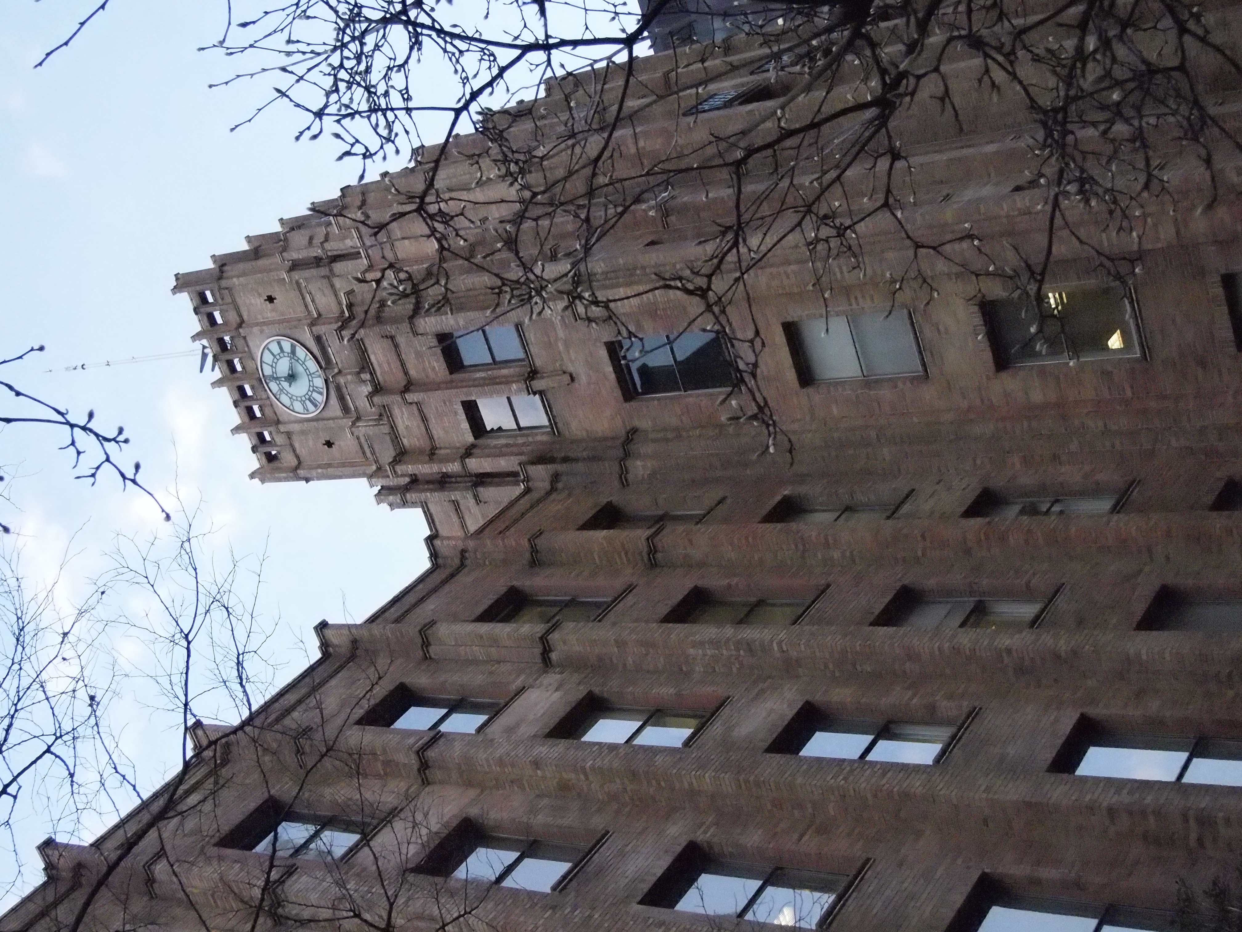 <b>ISO6400<br>E-PL2 / M.ZUIKO DIGITAL 14-42mm F3.5-5.6 II / 4,032×3,024 / 1/2,500秒 / F5.6 / -0.3EV / WB:太陽光 / 25mm</b>