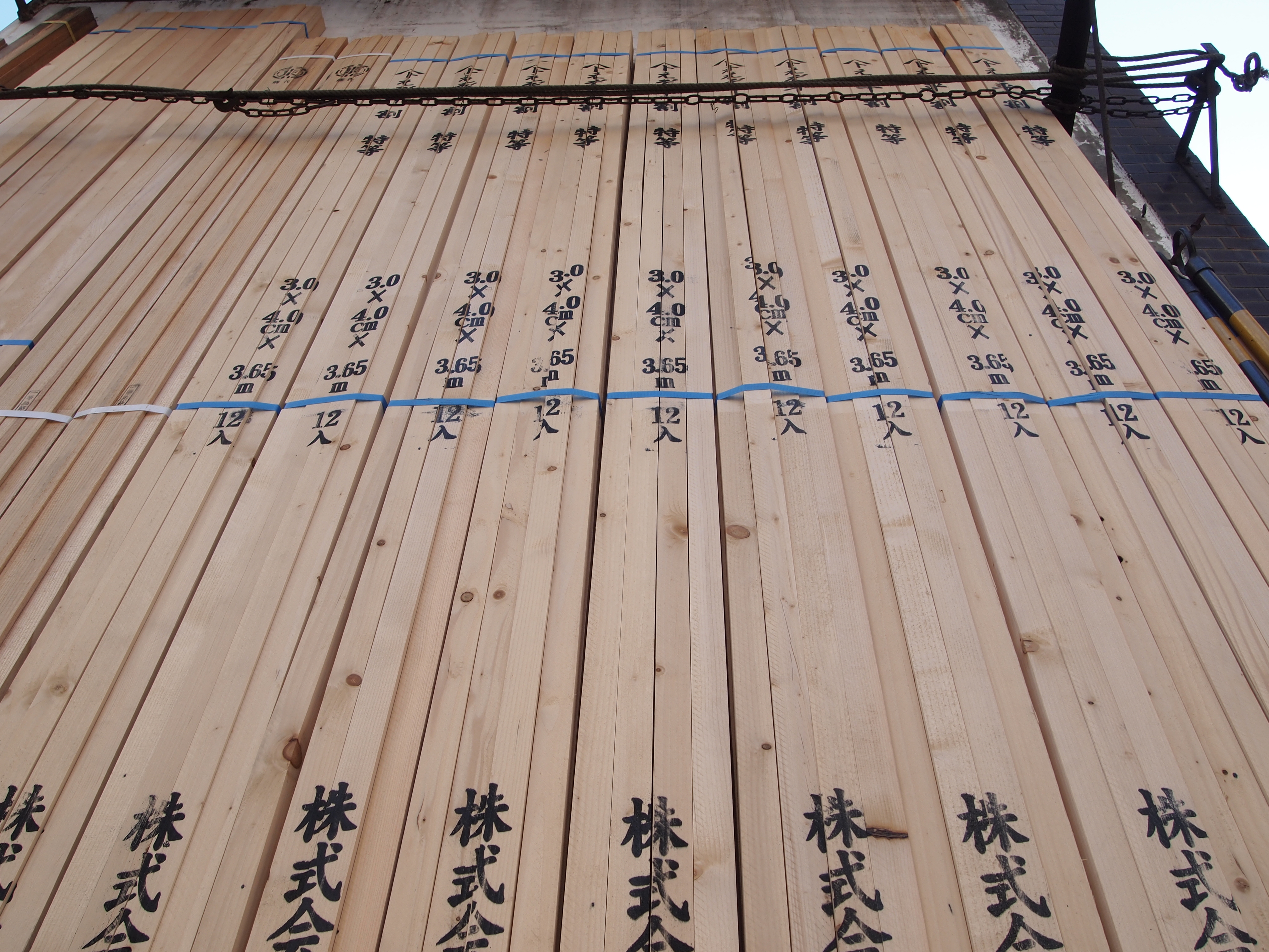 <b>装着したVF-2をチルトさせて低めのアングルから見上げての撮影。縦位置に対応できるEVFもつくって欲しいなぁ<br>E-PL2 / M.ZUIKO DIGITAL 14-42mm F3.5-5.6 II / 4,032×3,024 / 1/125秒 / F6.3 / 0.7EV / ISO200 / WB:太陽光 / 14mm</b>