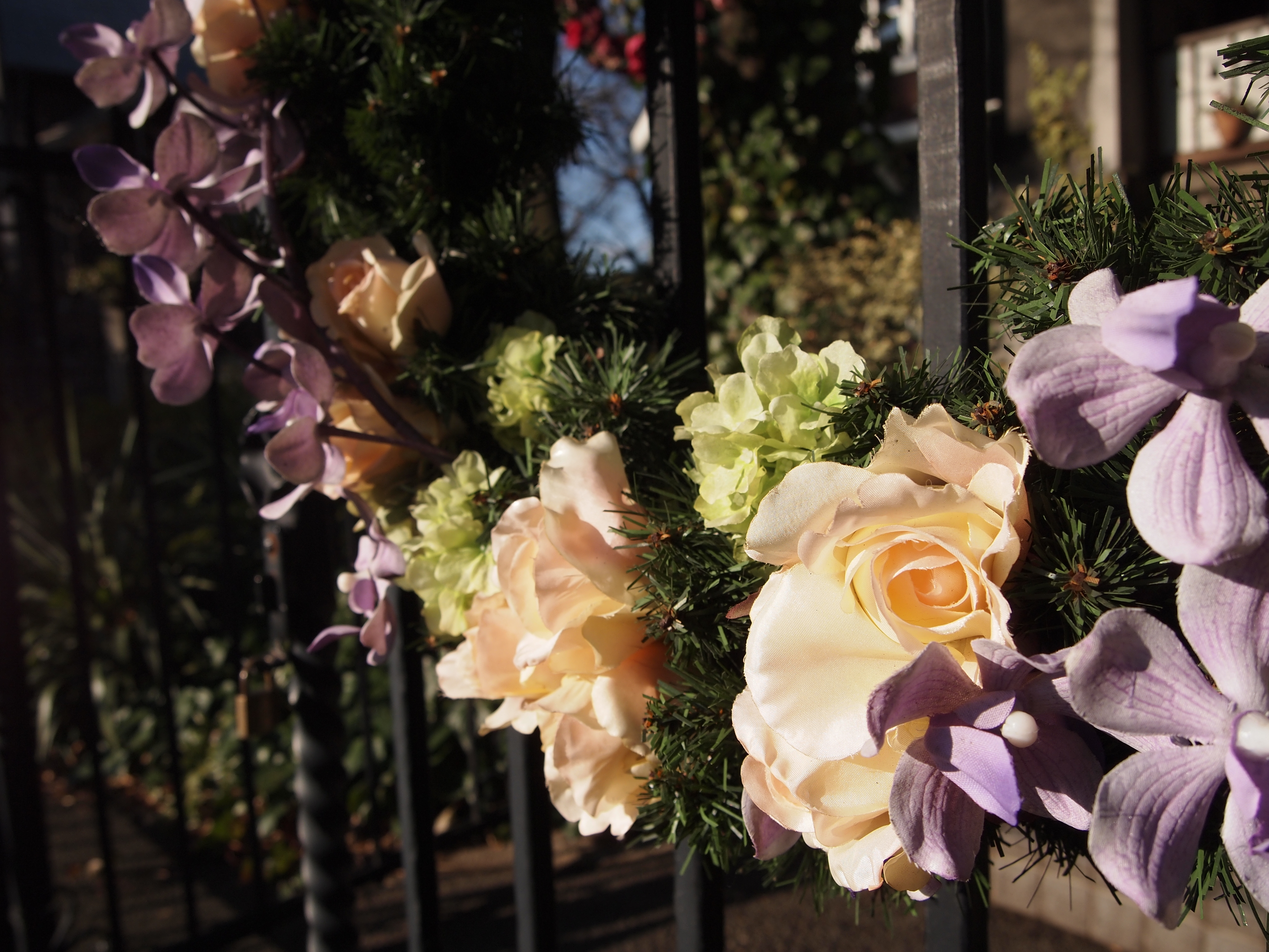 <b>最短撮影距離は14-19mmの範囲は0.25m、20-42mmの範囲では0.3mとちょっと変則的。でも、けっこう寄れるので便利がいい<br>E-PL2 / M.ZUIKO DIGITAL 14-42mm F3.5-5.6 II / 4,032×3,024 / 1/1,000秒 / F5.6 / 0EV / ISO200 / WB:太陽光 / 14mm</b>