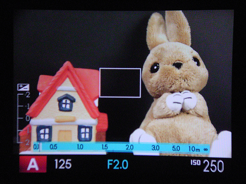 <b>EVFの表示例（同）</b>