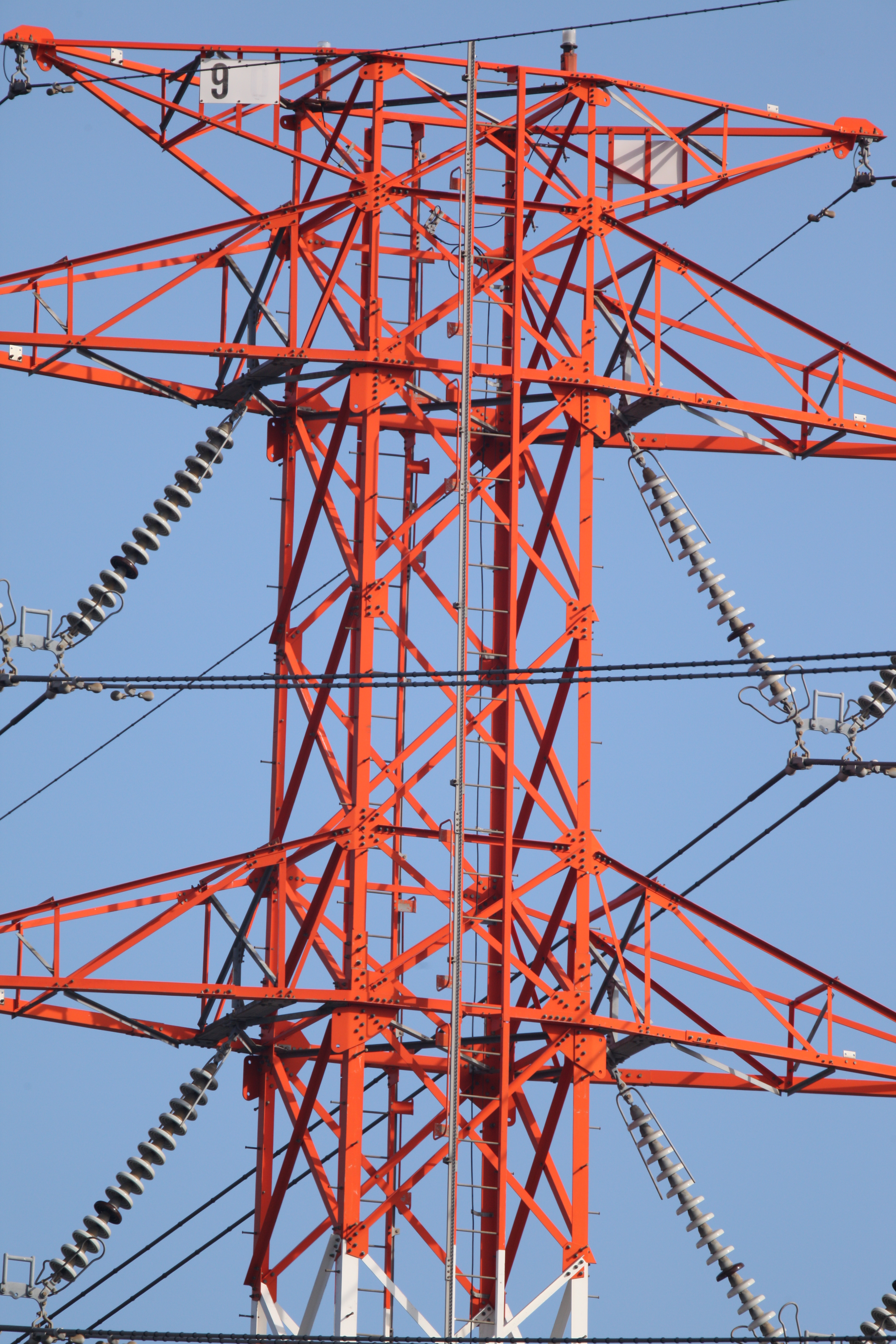 <b>TX17 / 850mm / F9.6 / 1/800秒 / ISO400</b>