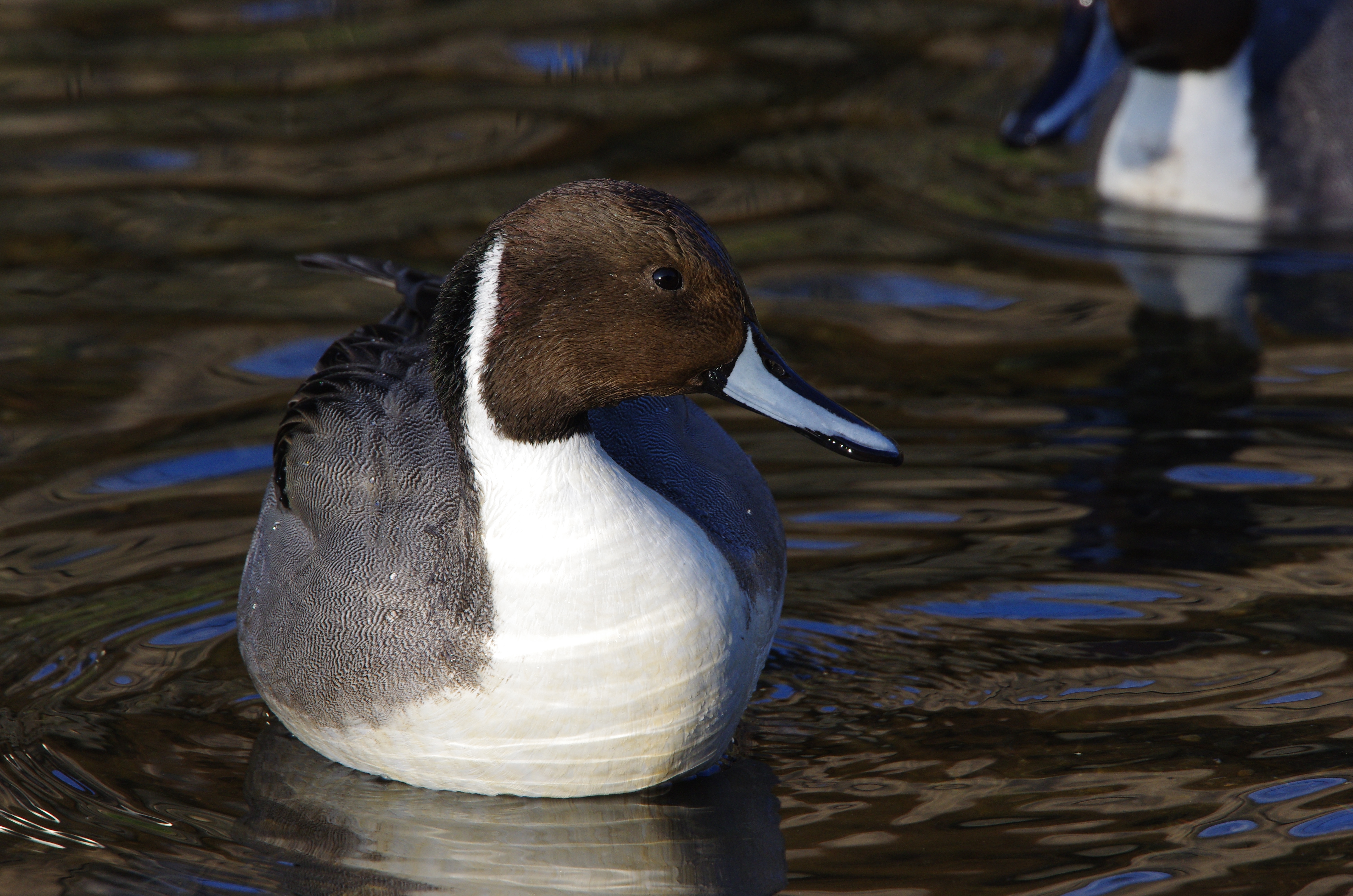 <b>1/500秒 / ISO640 / WB:4,000K</b>