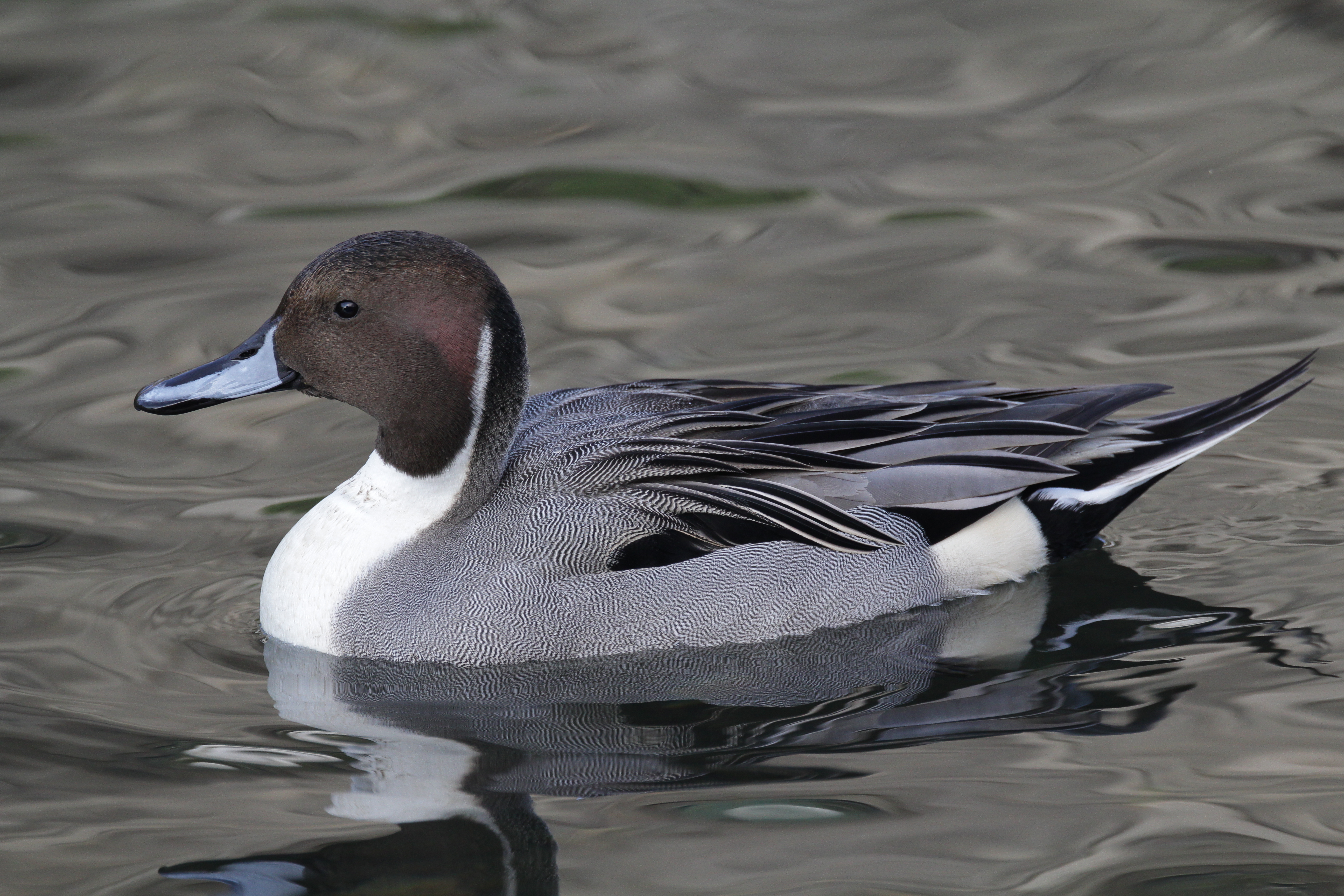 <b>1/500秒 / ISO640 / WB:オート</b>