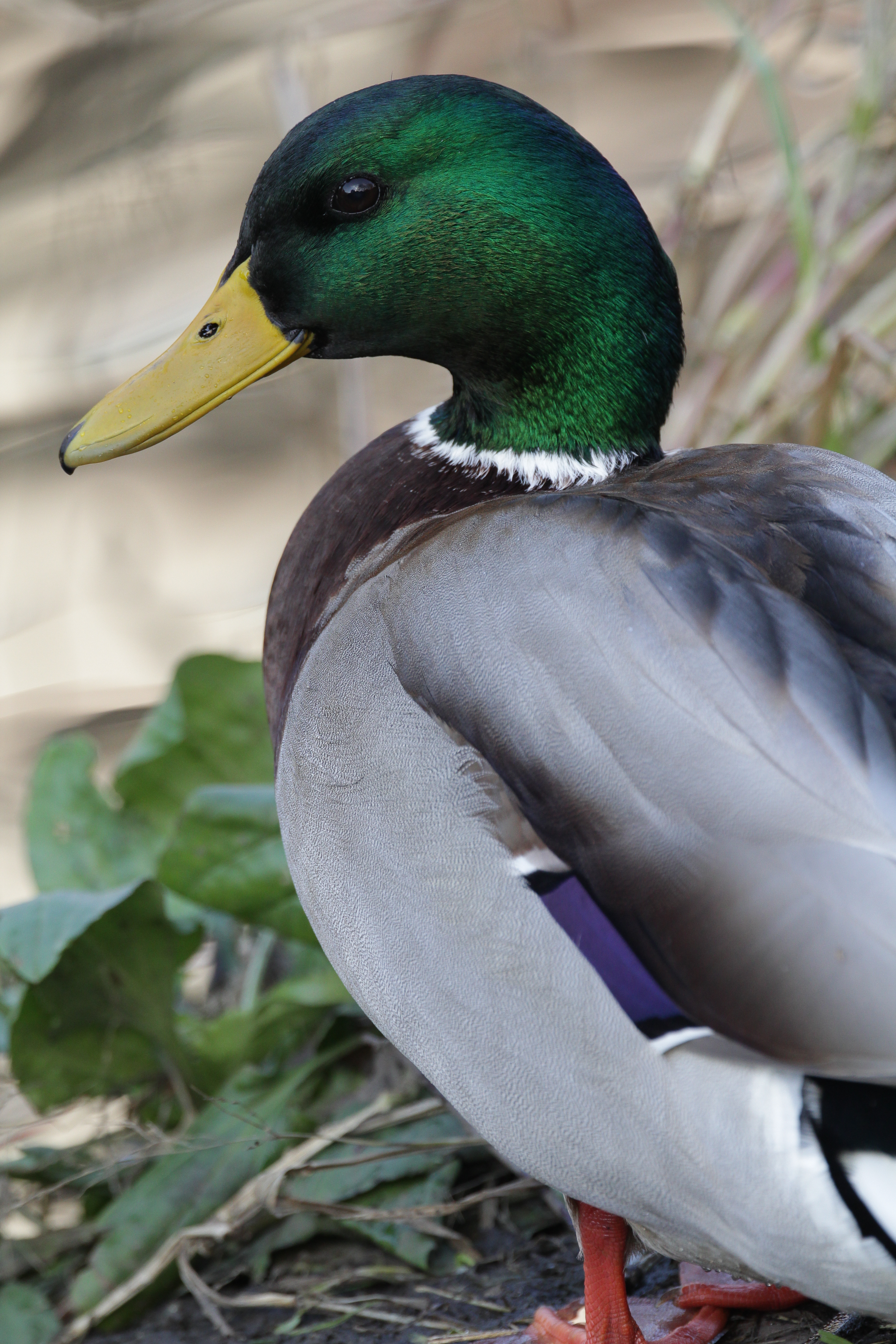 <b>1/400秒 / ISO640 / WB:オート</b>