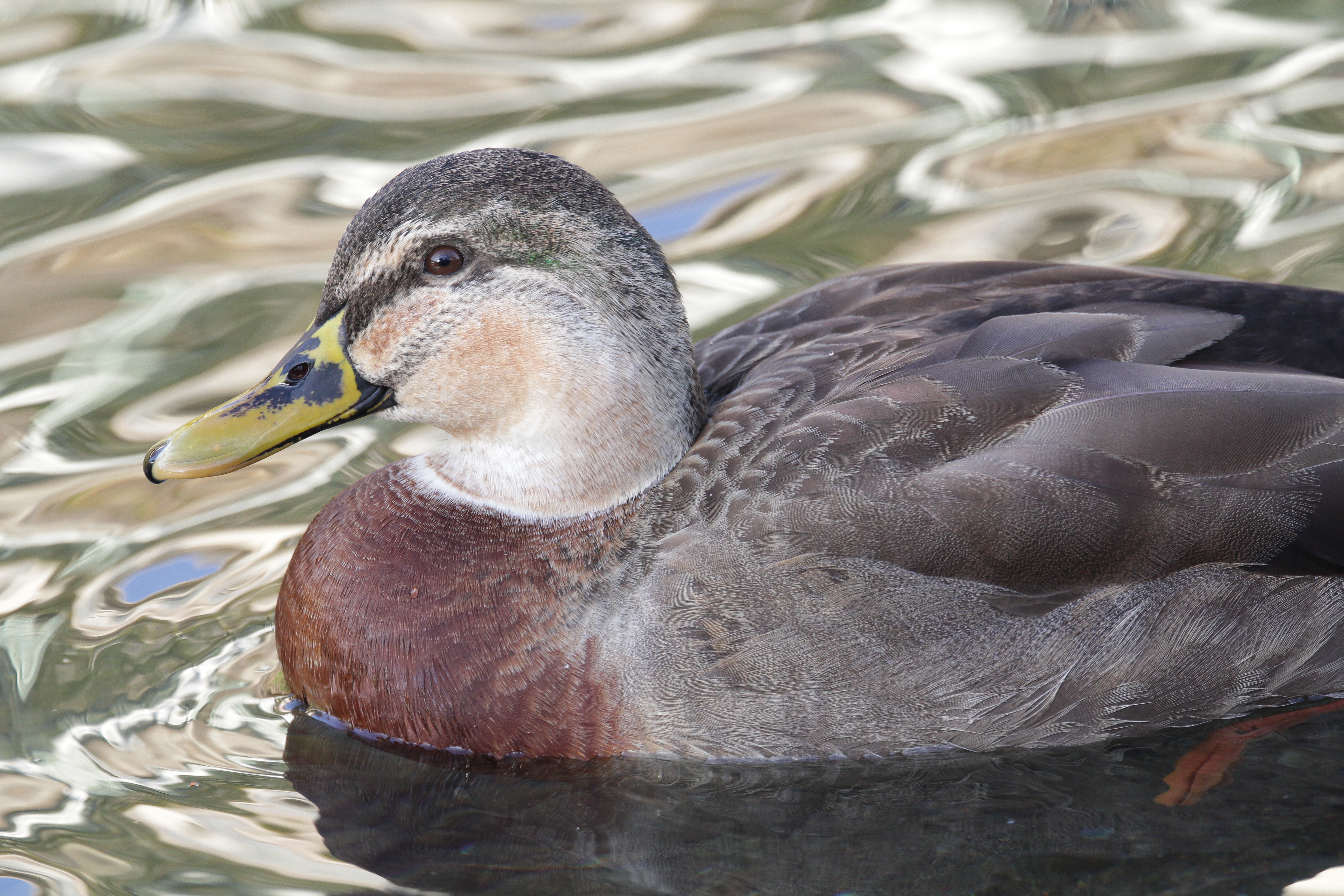 <b>1/320秒 / ISO640 / WB:オート</b>