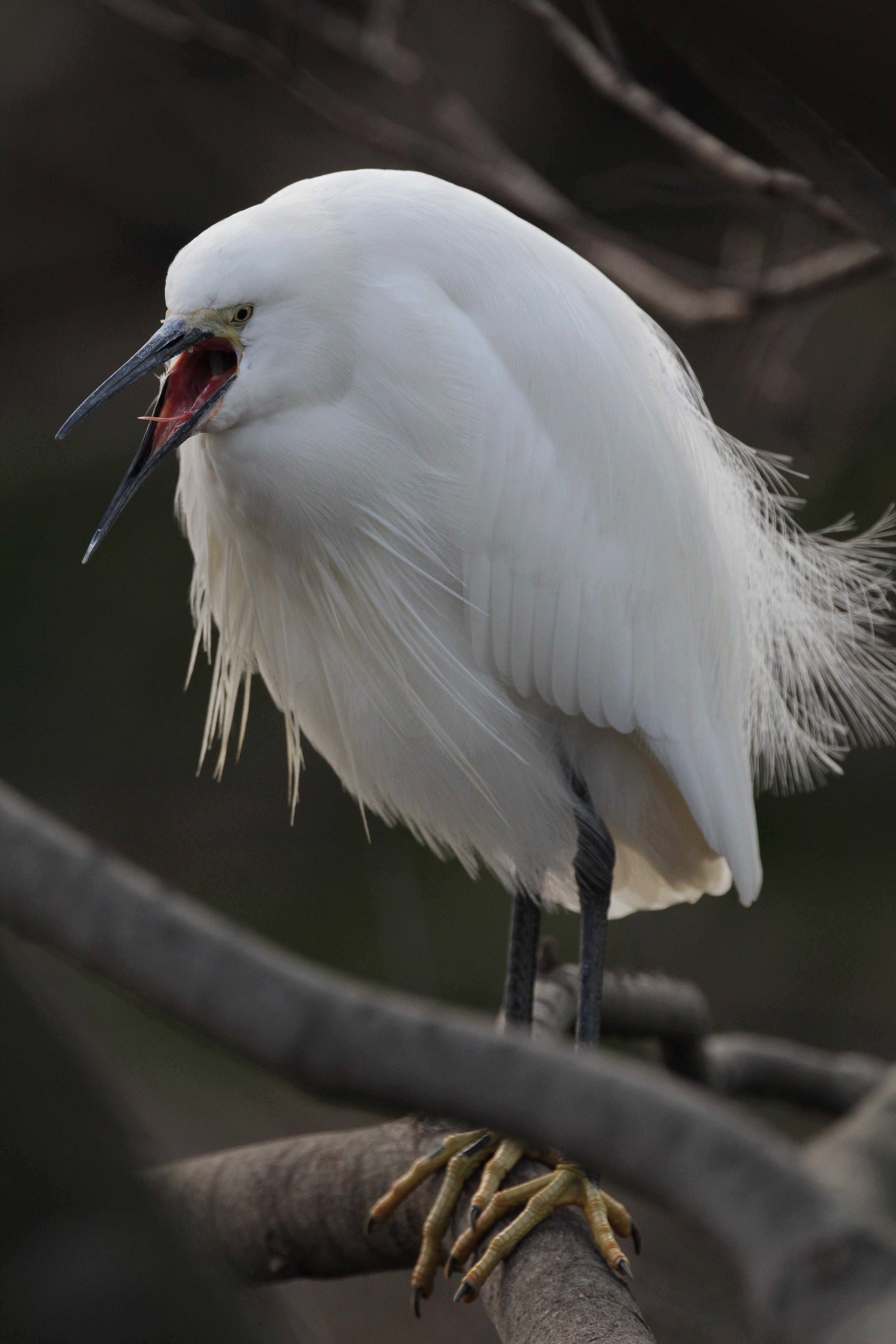 <b>1/500秒 / ISO640 / WB:オート</b>