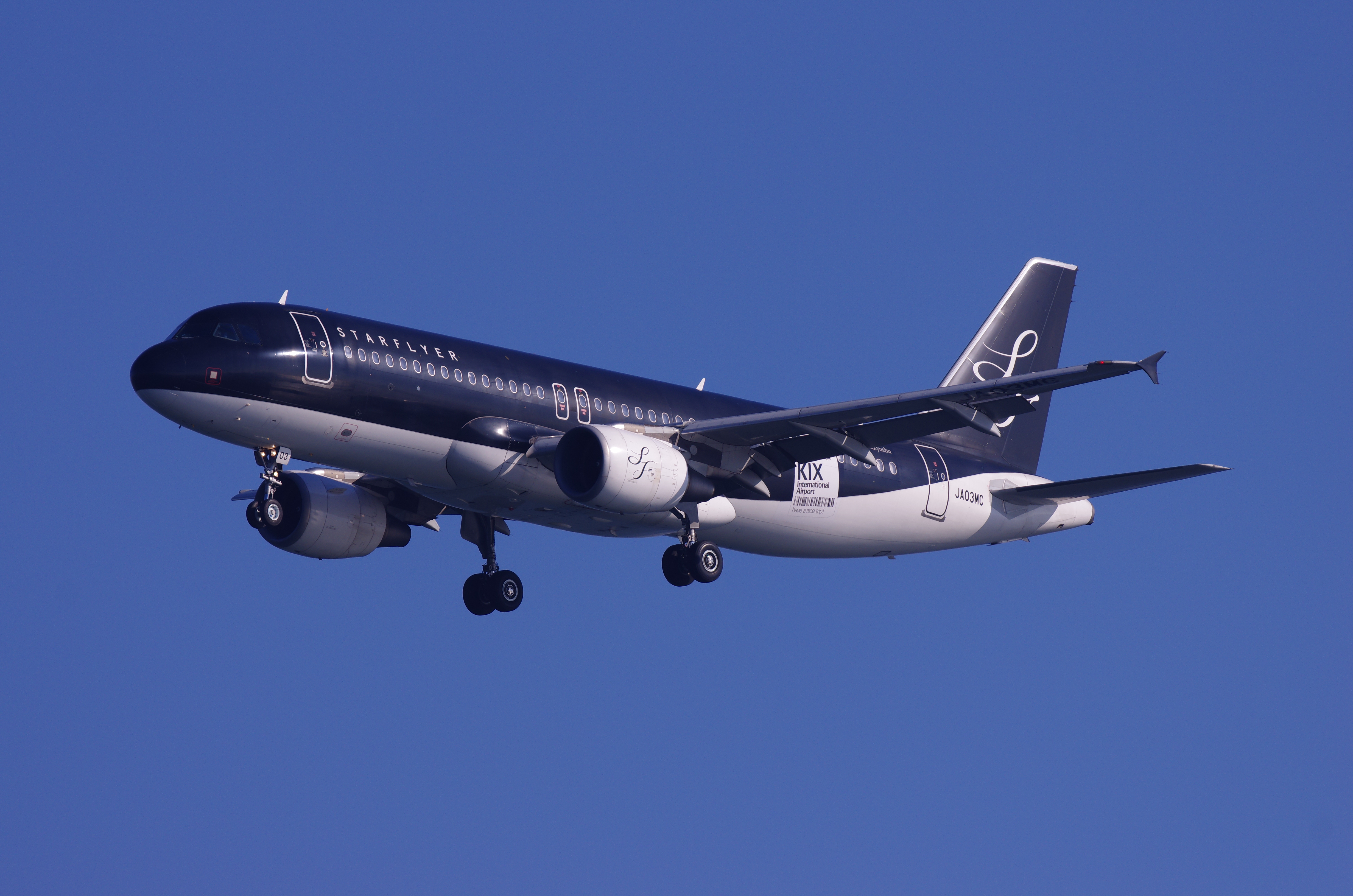 <b>1/1,250秒 / ISO200 / WB:太陽光</b>