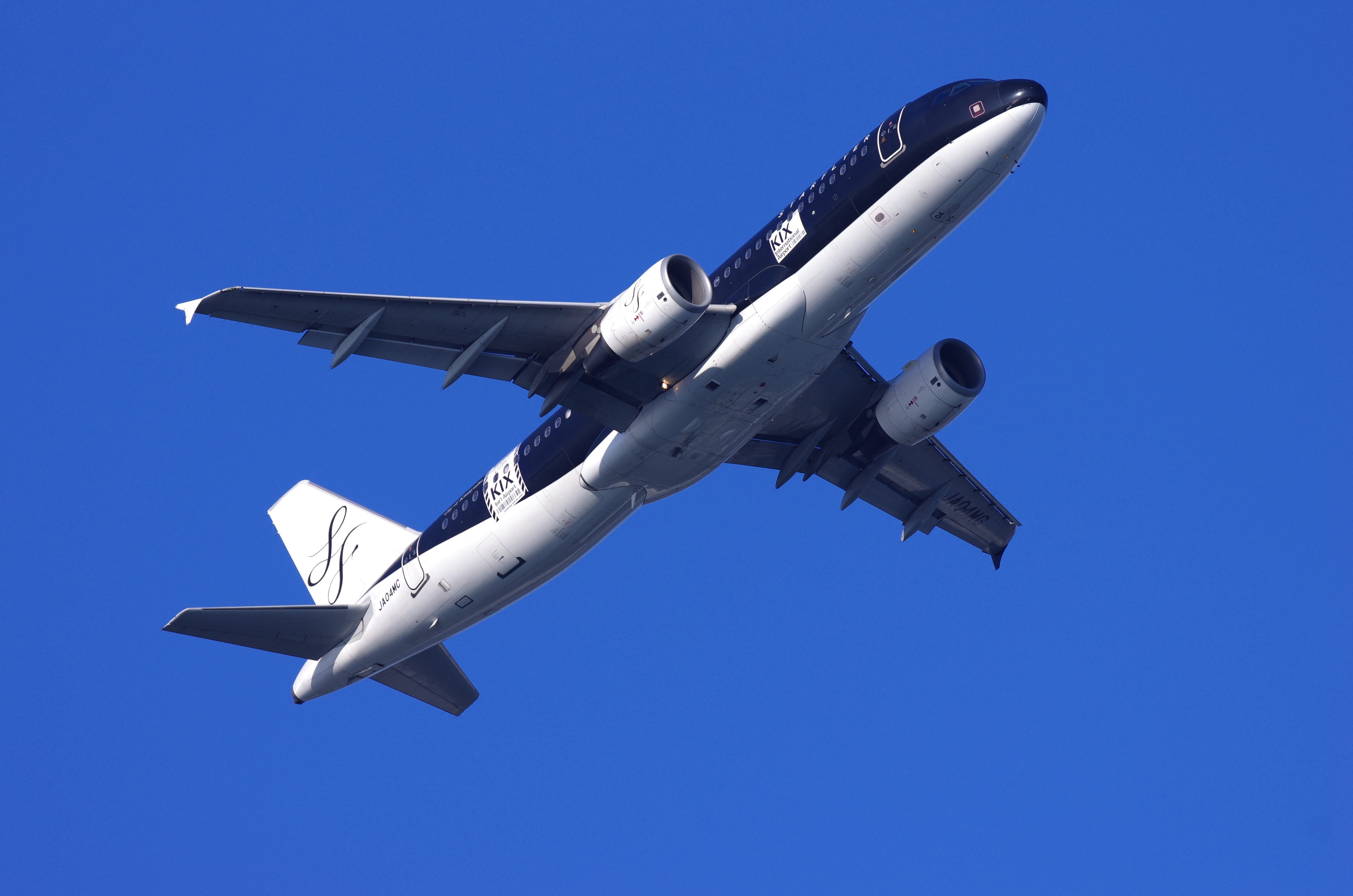 <b>1/1,250秒 / ISO400 / WB:太陽光</b>