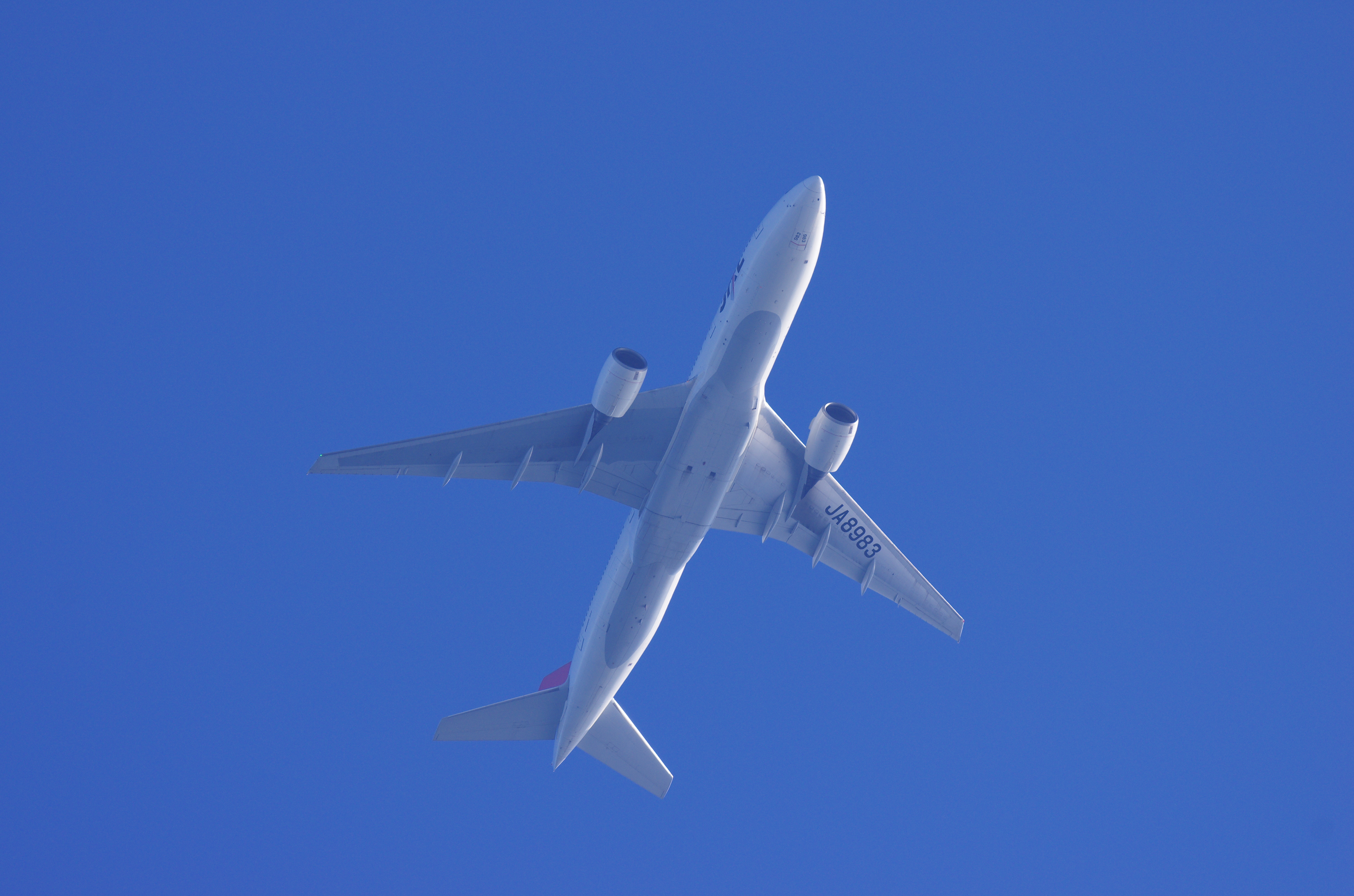 <b>1/800秒 / ISO200 / WB:太陽光</b>