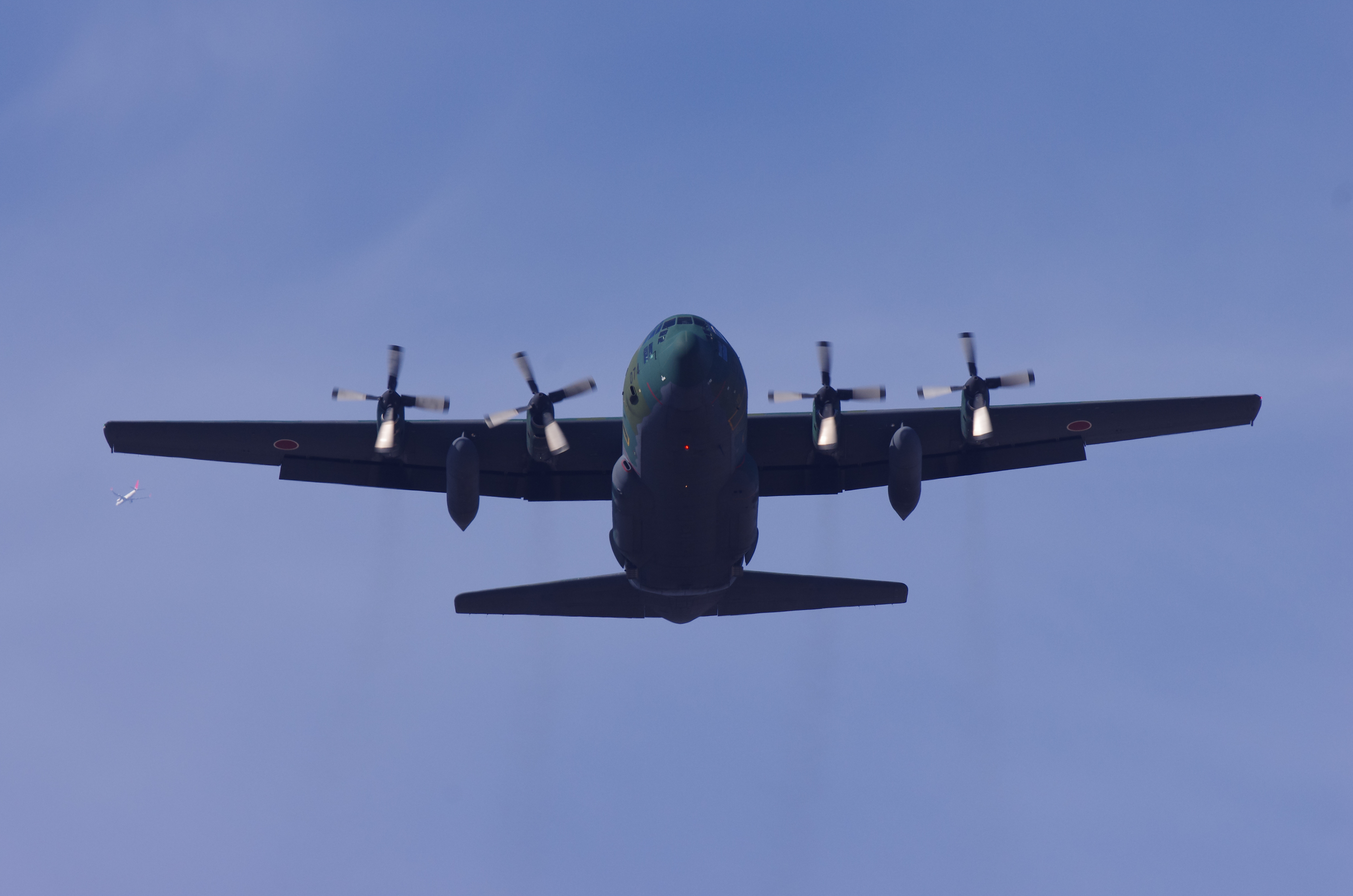 <b>1/800秒 / ISO200 / WB:オート</b>