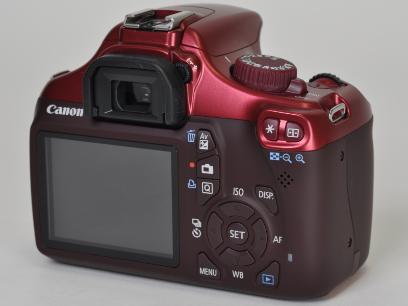 <b>背面はツートンカラーになっている</b>