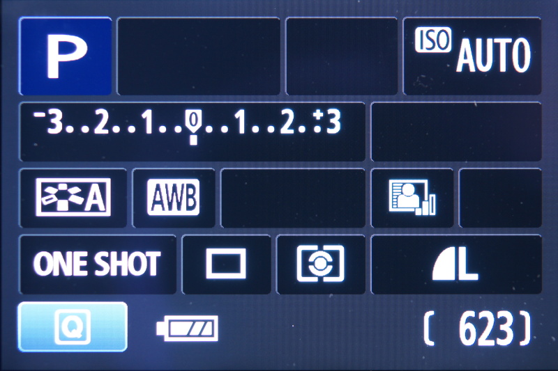 <b>撮影設定の表示画面</b>