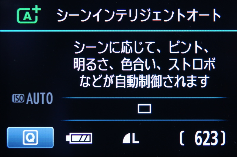 <b>新搭載の「シーンインテリジェントオート」</b>