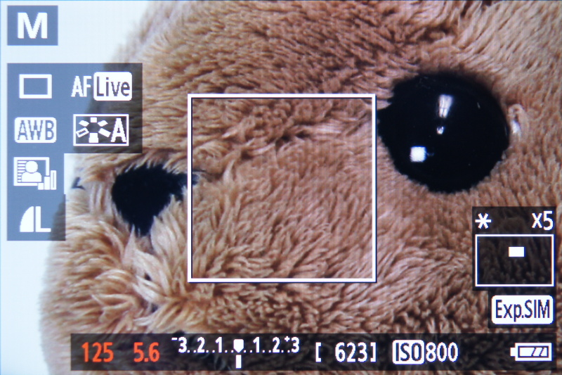 <b>ライブビューを拡大表示しているところ</b>