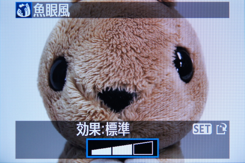 <b>同じく「魚眼風」の適用例</b>