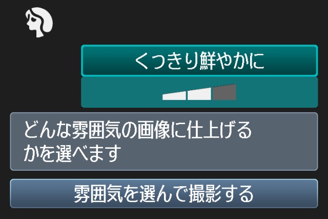 <b>表現セレクトと機能ガイドの例</b>