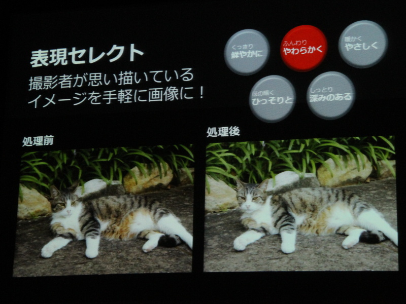 <b>表現セレクト</b>