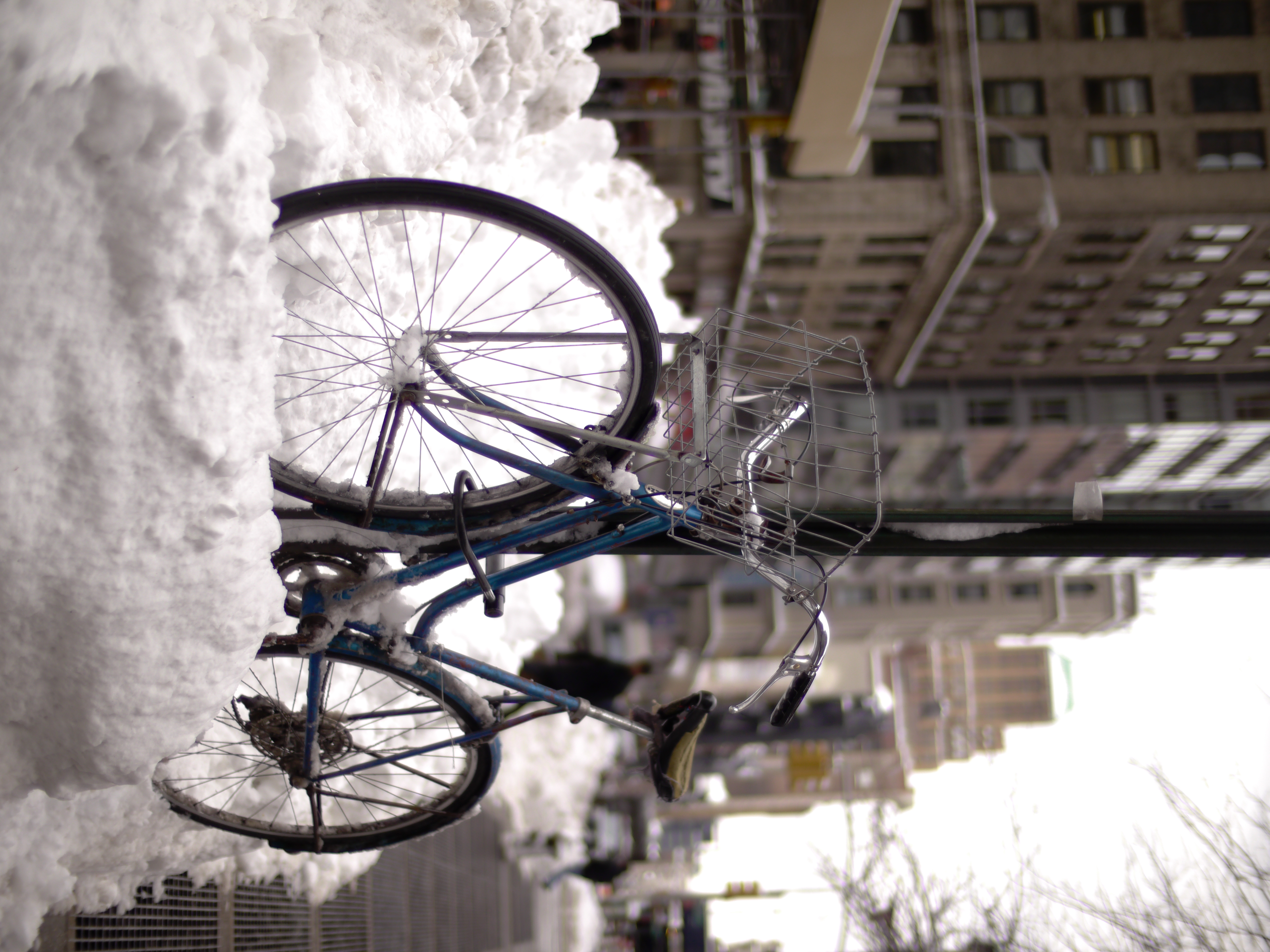 <b>DMC-GH2 / NOKTON 25mm F0.95 / 約6.1MB / 3,456×4,608 / 1/3,200秒 / F0.95 / +1.7EV / ISO160 / WB:日陰</b>