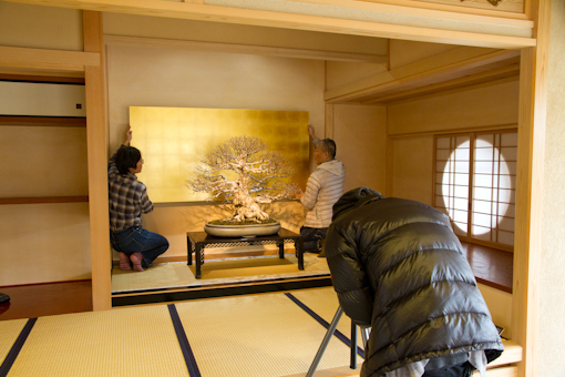 <b>盆栽美術館の中には和室セットもある</b>