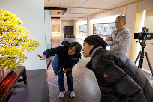 <b>美術館の学芸員の方から盆栽について説明を受けながら撮影ポイントをつかんでいく</b>