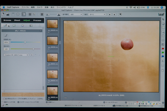 <b>リーフの純正ソフト「リーフキャプチャー」の画面</b>