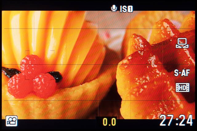 <b>こちらは動画モードの画面。静止画モードよりも画角が狭くなっているのがわかる。電子式手ブレ補正に周辺部を食われているせいだ</b>