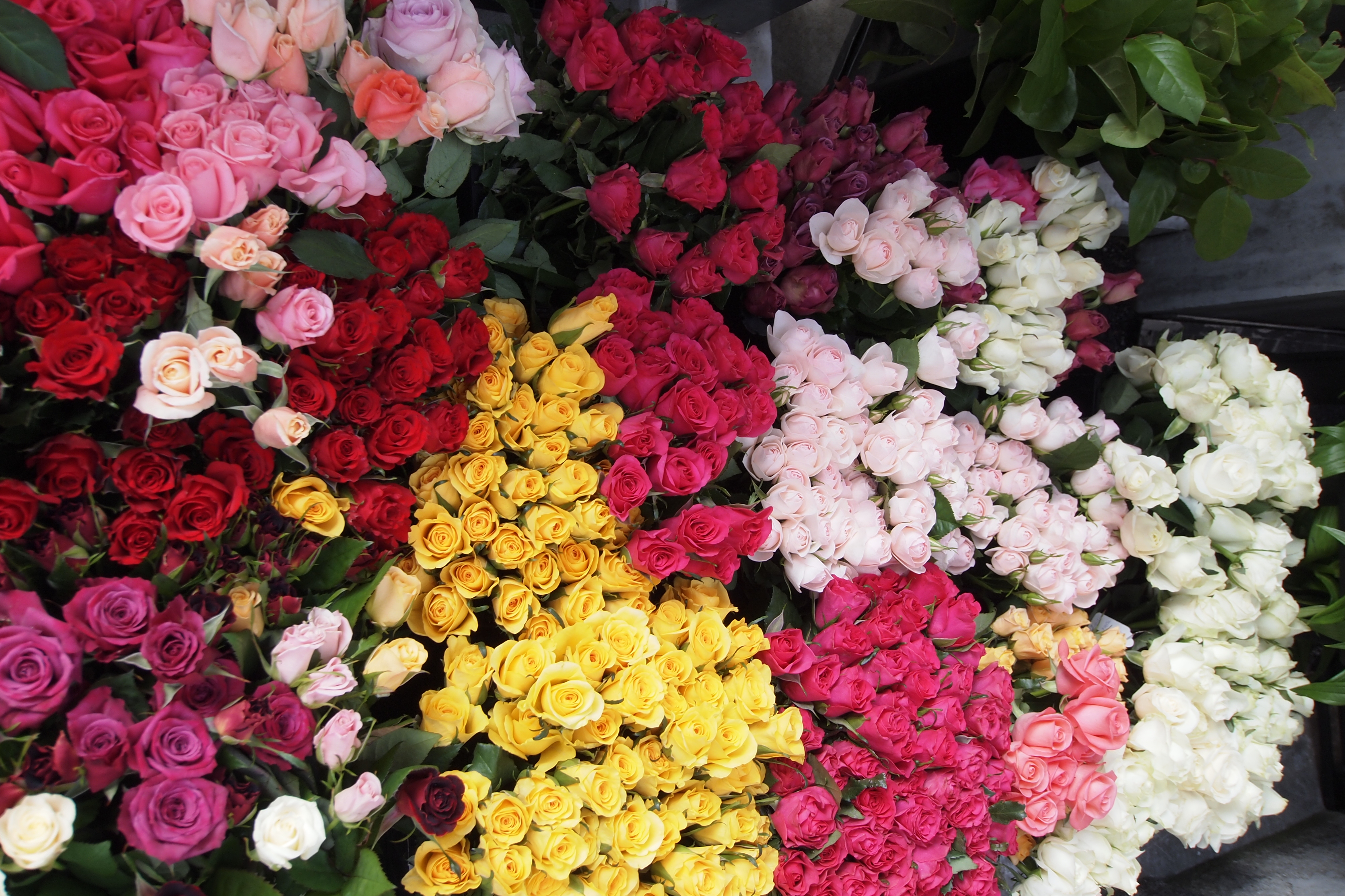 <b>絞り開放で比較的近距離での撮影となると、四隅がちょっとって感じ。それにしても、普通に歩道の脇なんですけど、在庫置き場的。E-PL2 / M.ZUIKO DIGITAL ED 9-18mm F4-5.6 / 4,032×2,688 / プログラムAE / 1/30秒 / F5 / 0.3EV / ISO200 / WB:太陽光 / 14mm</b>