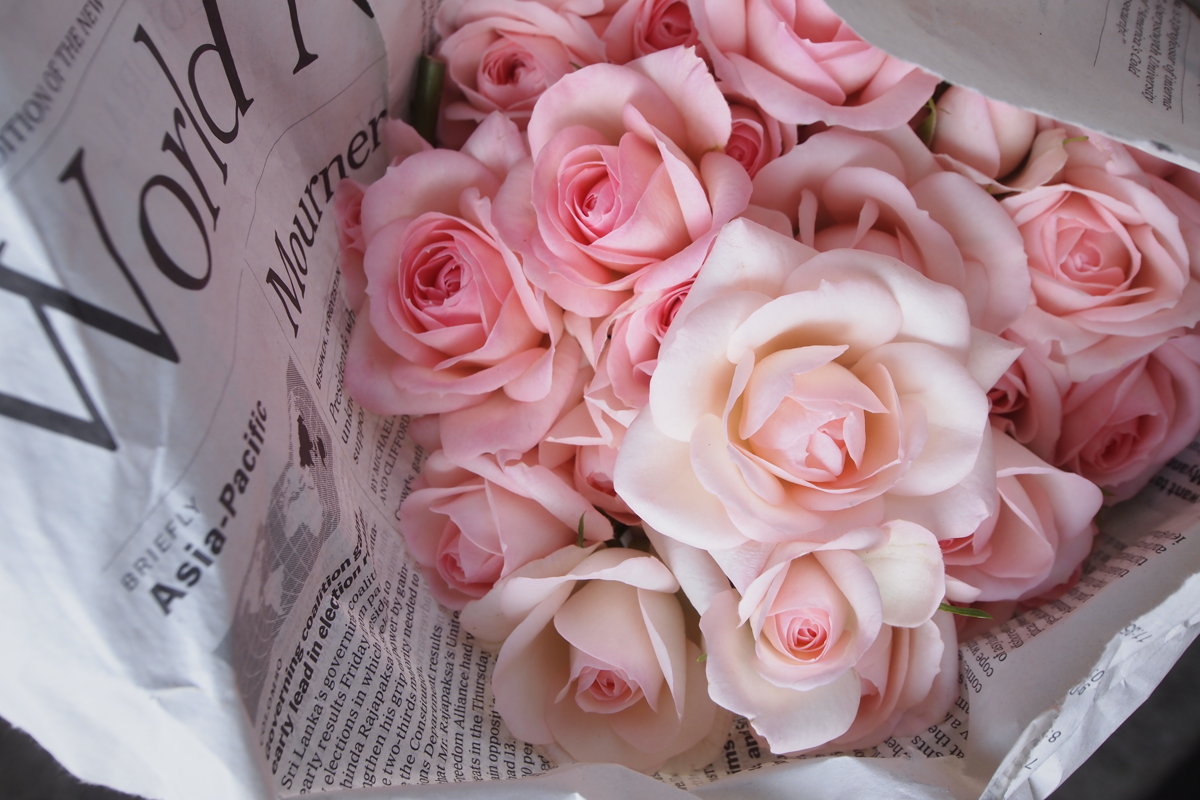 <b>絞り優先AEのF8でブレそうになったらプログラムAEに切り替える。絞りを開く操作よりもモードダイヤル回すほうがらくちんだから。E-PL2 / M.ZUIKO DIGITAL ED 9-18mm F4-5.6 / 4,032×2,688 / プログラムAE / 1/50秒 / F6.3 / 0.7EV / ISO200 / WB:太陽光 / 18mm</b>