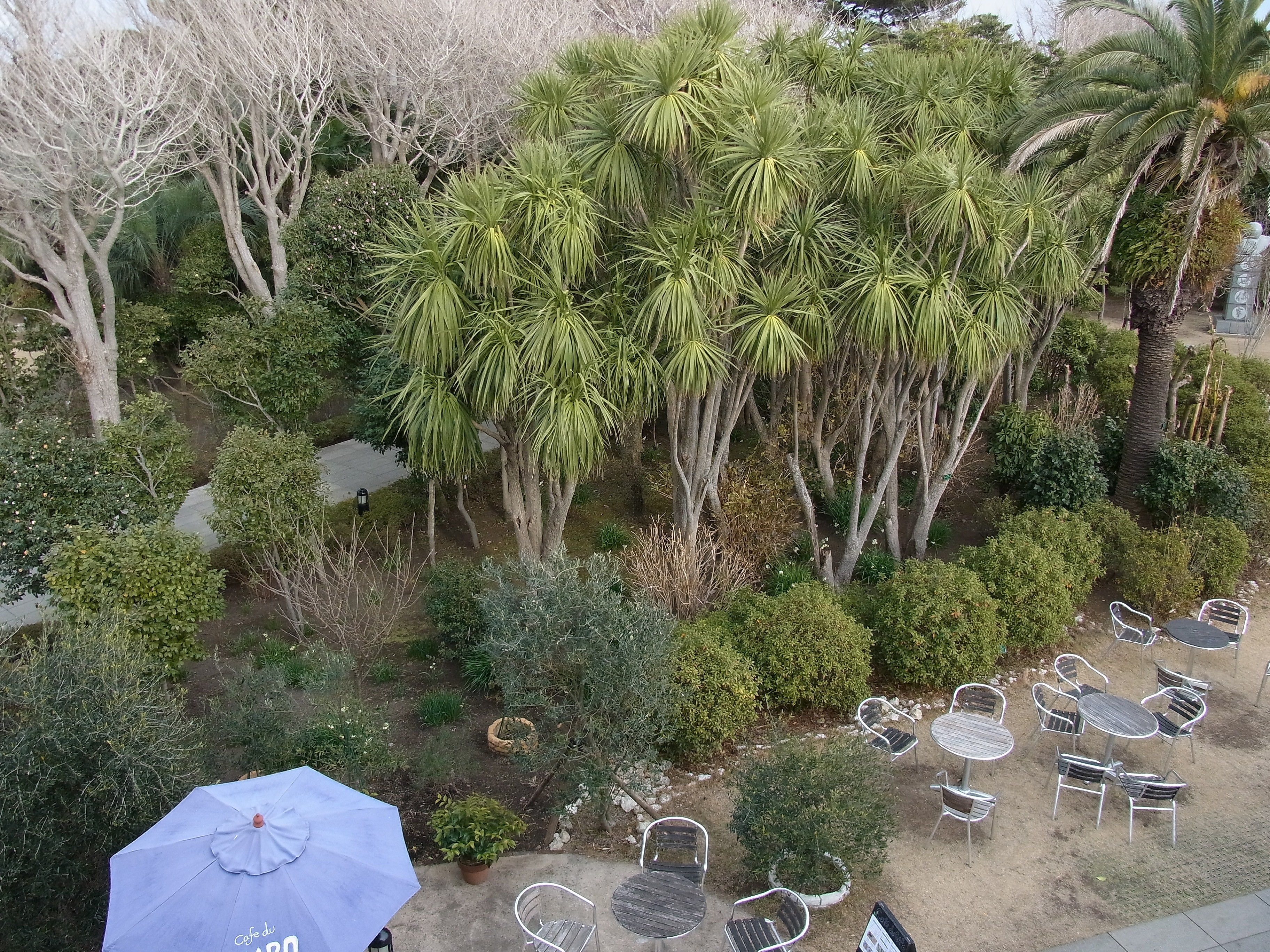 <b>超解像:強 / CX5 / 約3.8MB / 3,648×2,736 / 1/270秒 / F3.5 / 0.0EV / ISO100 / WB:オート / 4.9mm</b>