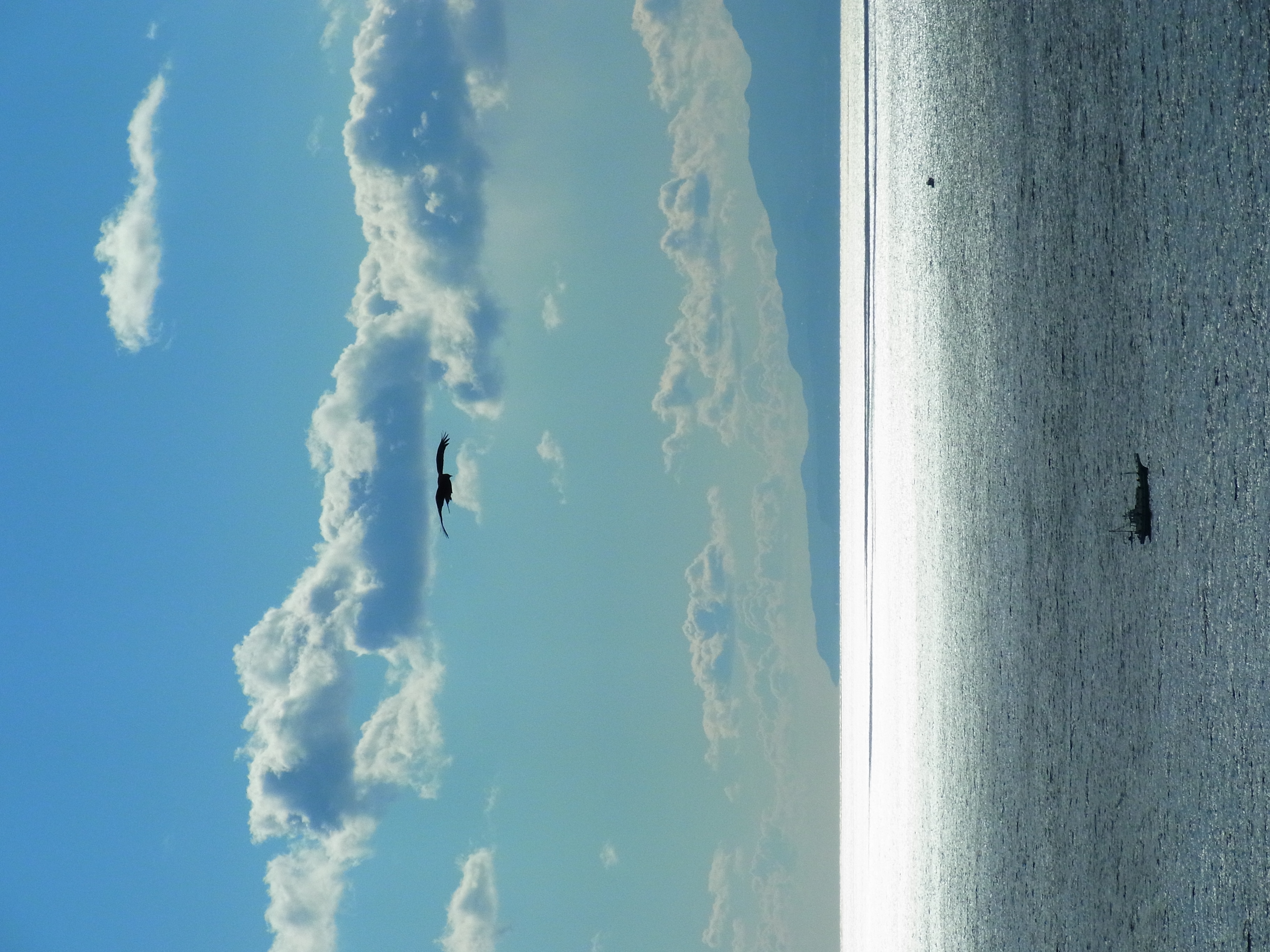 <b>CX5 / 約3.7MB / 2,736×3,648 / 1/1410秒 / F10.1 / -0.3EV / ISO100 / WB:屋外 / 23.6mm</b>