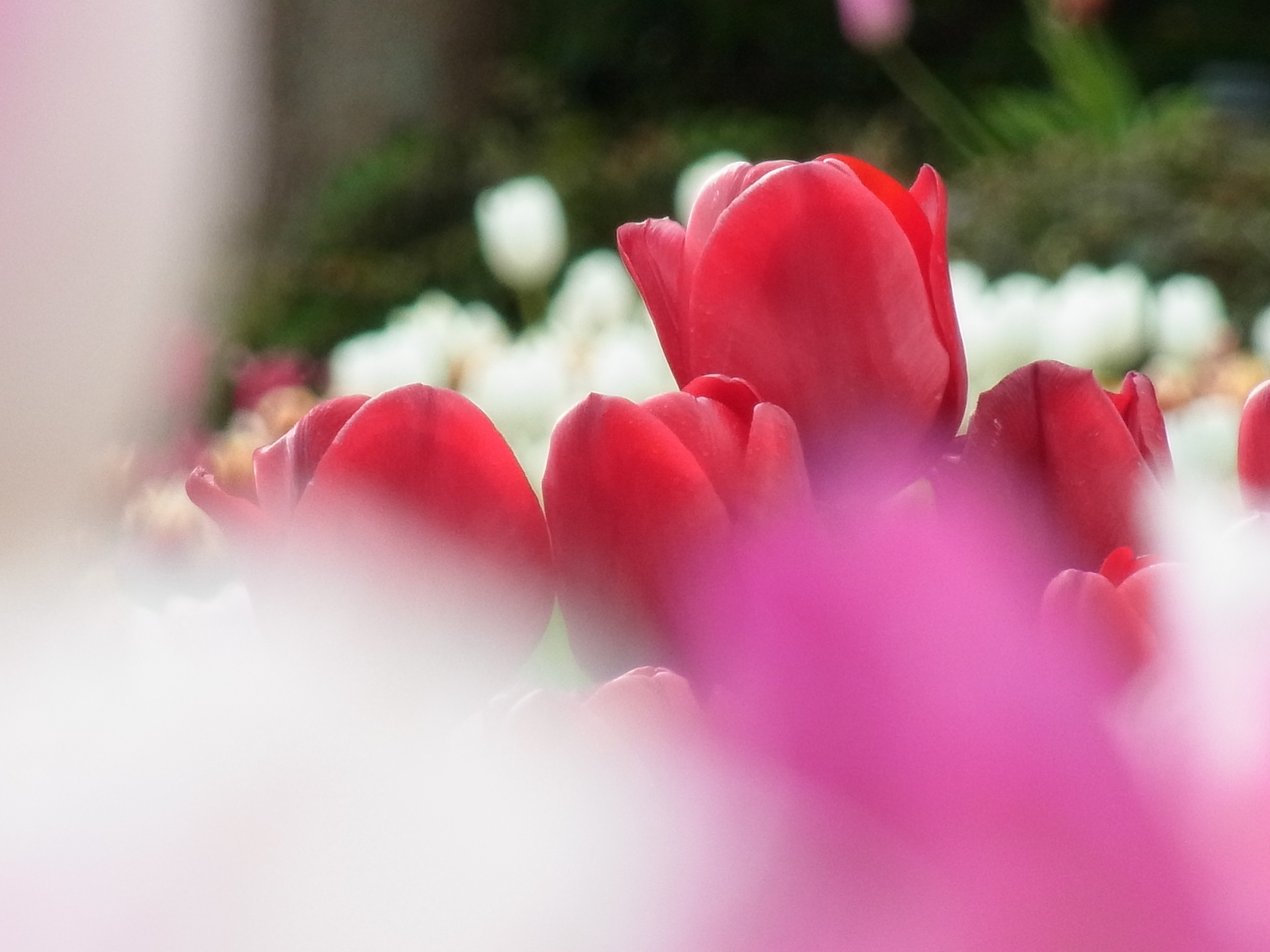 <b>超解像ズーム（600mm相当） / CX5 / 約2.5MB / 3,648×2,736 / 1/153秒 / F5.6 / +1.0EV / ISO100 / WB:オート / 52.5mm</b>