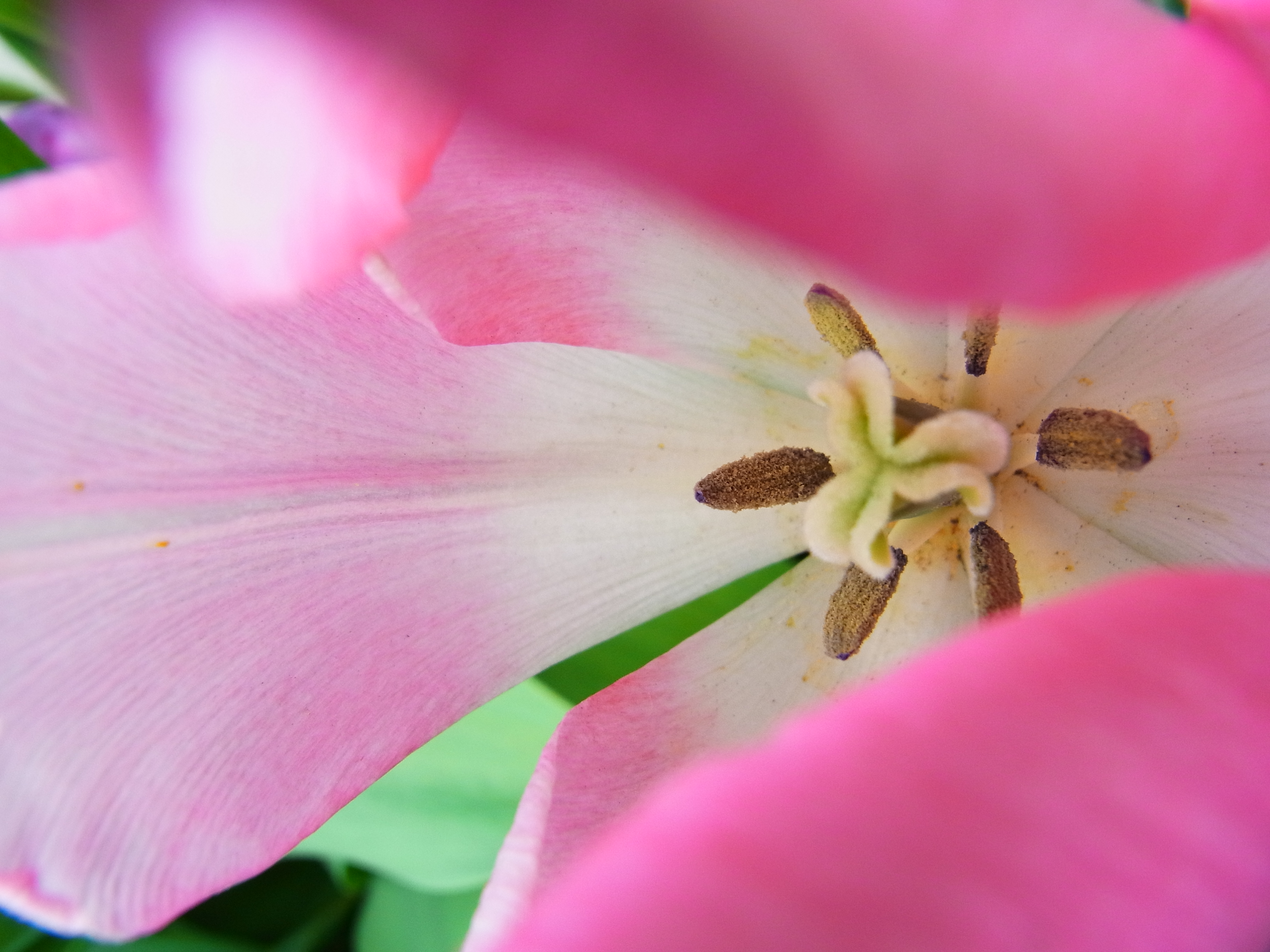 <b>CX5 / 約3.4MB / 2,736×3,648 / 1/143秒 / F3.7 / +0.7EV / ISO100 / WB:オート / 5.4mm</b>