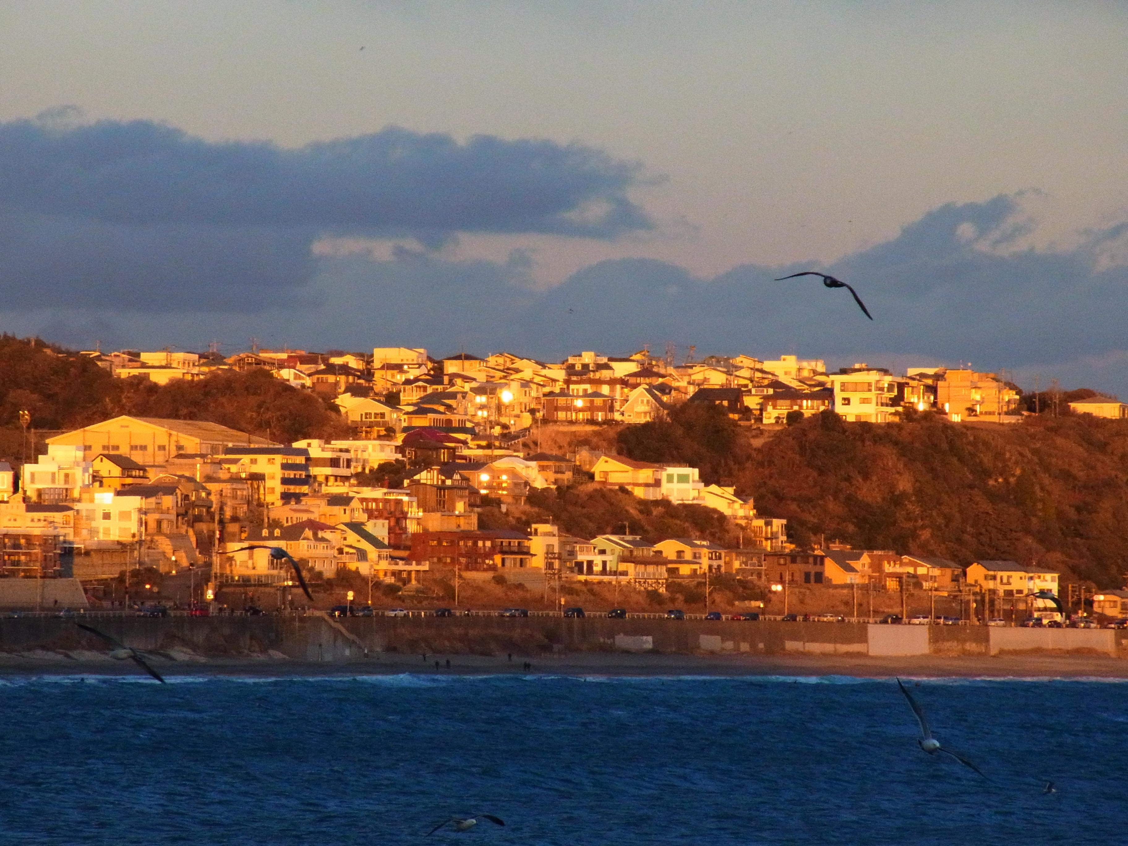 <b>CX5 / 約3.6MB / 3,648×2,736 / 1/410秒 / F5.6 / -0.3EV / ISO400 / WB:オート / 52.5mm</b>