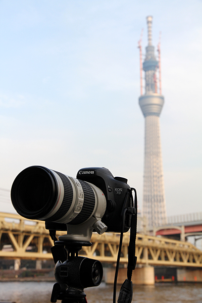 <b>撮影時（2月上旬）の高さは569mになっていた</b>