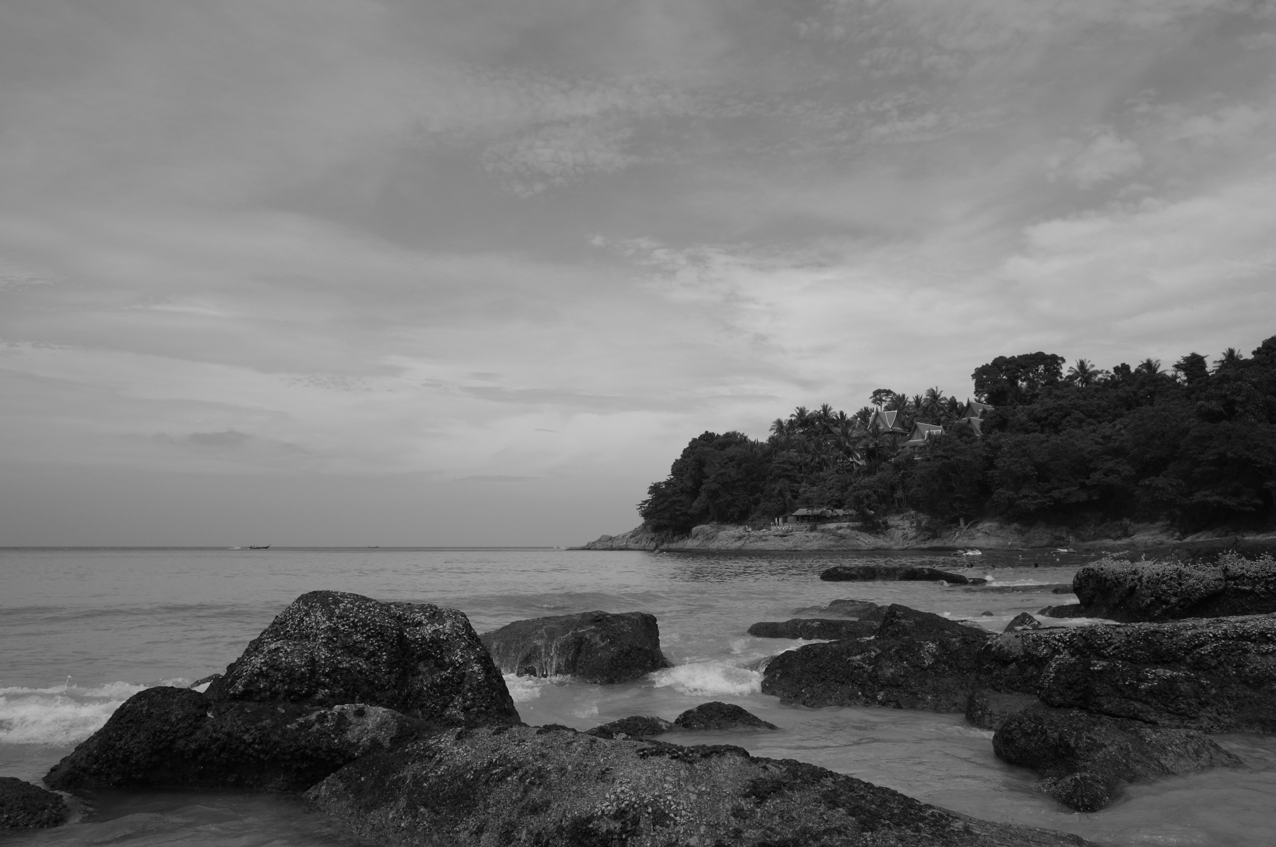 <b>白黒 / GXR A12 / GR LENS A12 28mm F2.5 / JPEG / 約3.9MB / 4,288×2,848 / 1/1,740秒 / F5.6 / 0.0EV / ISO200 / WB:オート / 18.3mm</b>