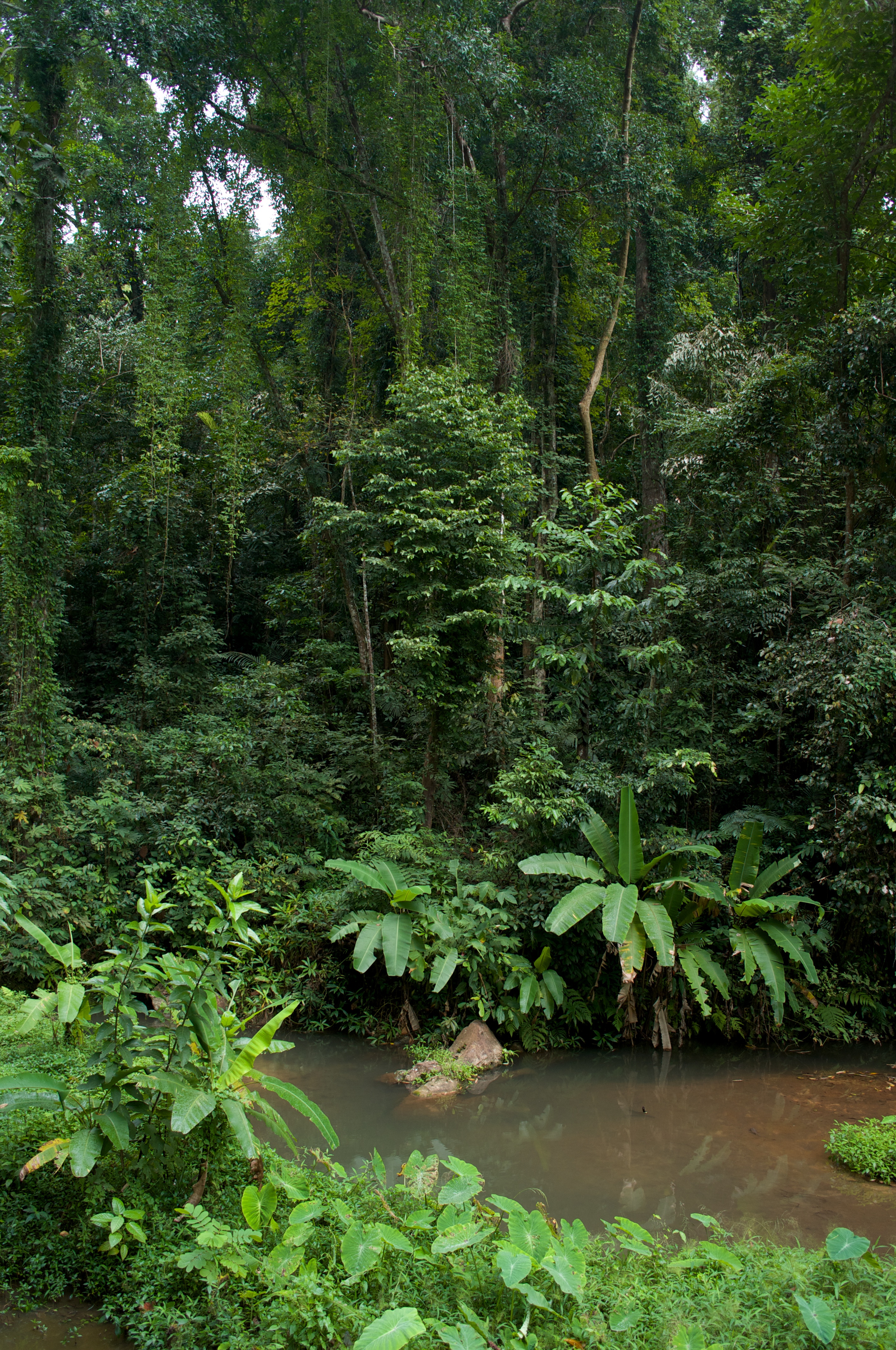 <b>F2.5 / GXR A12 / GR LENS A12 28mm F2.5 / RAW / 約6.1MB / 2,846×4,288 / 1/68秒 / -1.0EV / ISO200 / WB:屋外 / 18.3mm</b>