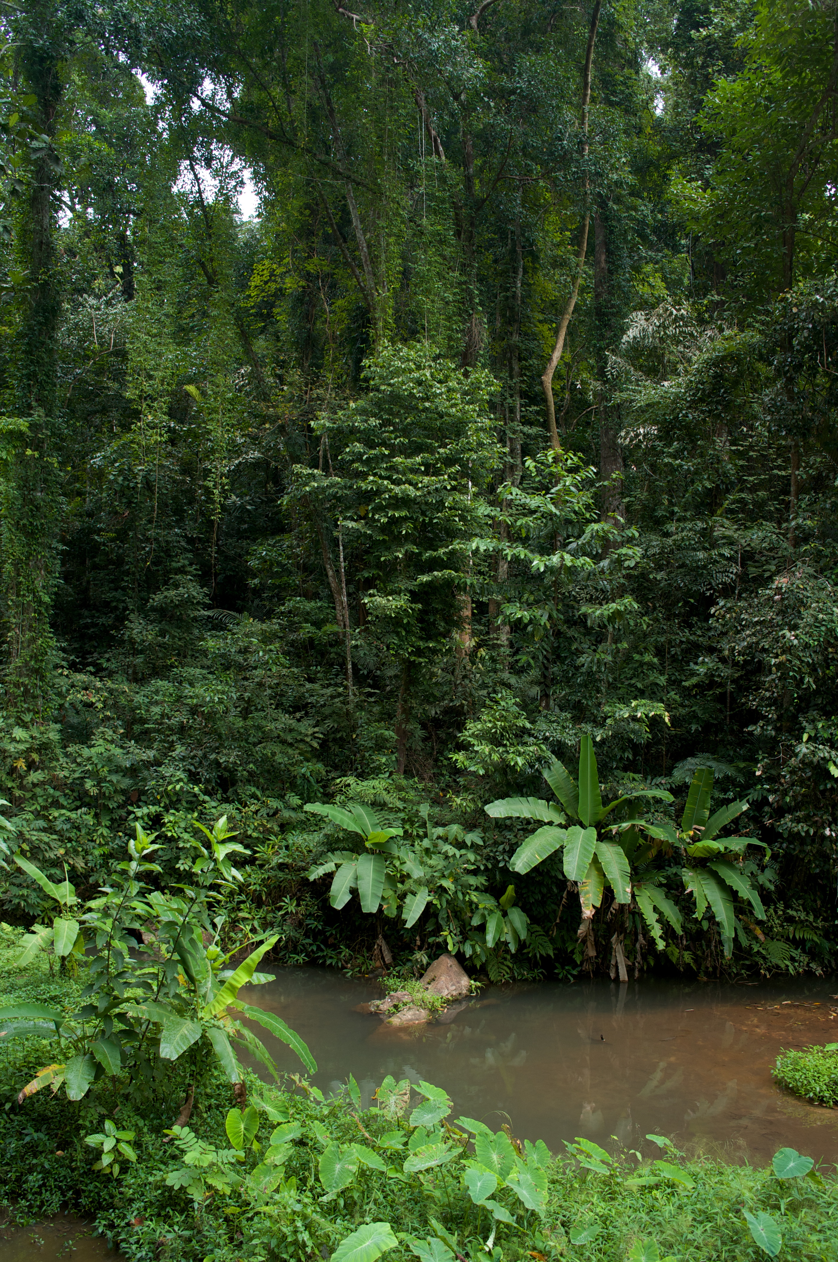 <b>F2.8 / GXR A12 / GR LENS A12 28mm F2.5 / RAW / 約6.1MB / 2,846×4,288 / 1/60秒 / -1.0EV / ISO200 / WB:屋外 / 18.3mm</b>
