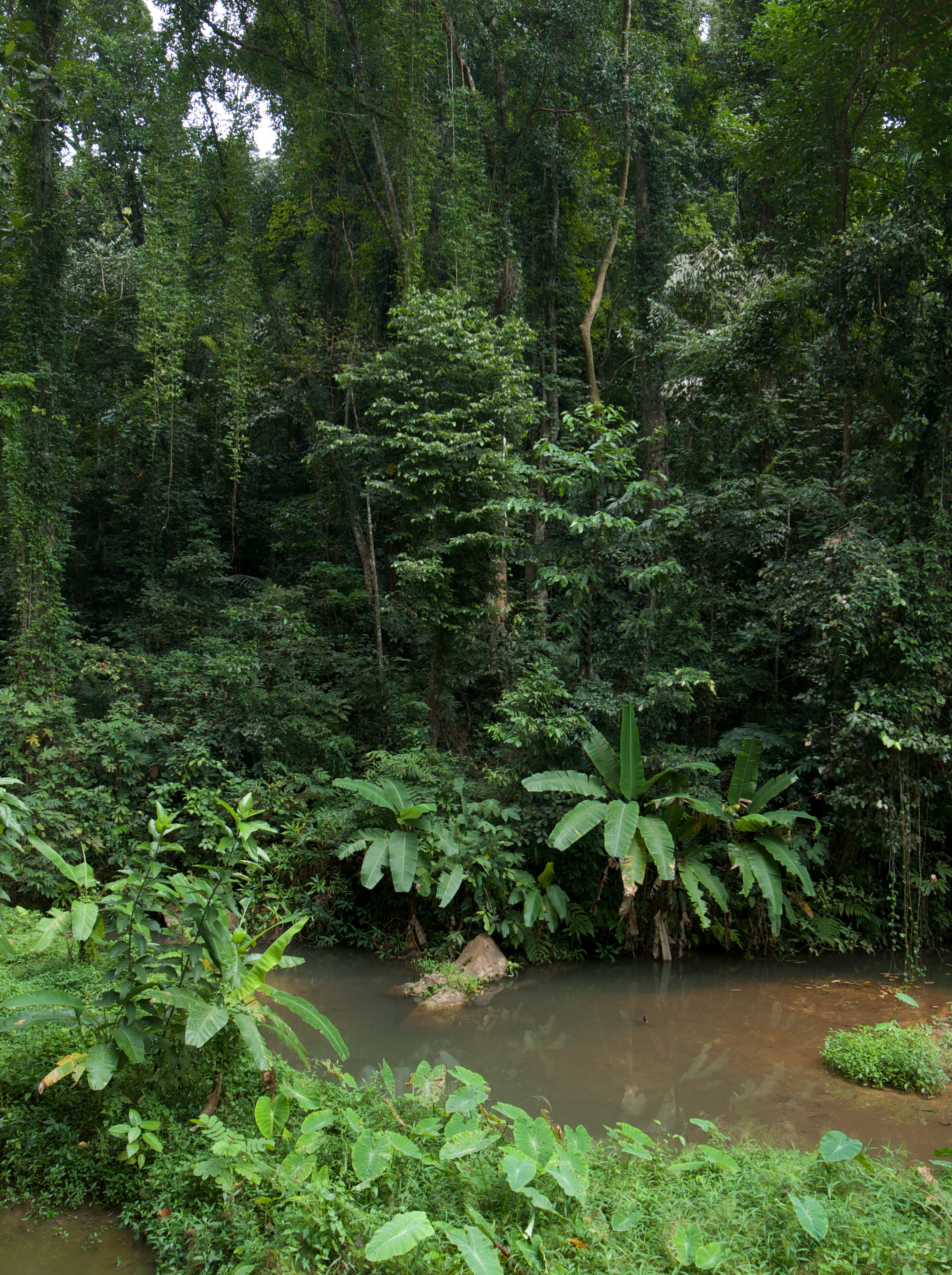 <b>F2.8 / GR DIGITAL III / RAW / 約4.6MB / 2,732×3,656 / 1/18秒 / -1.0EV / ISO64 / WB:屋外 / 6mm</b>