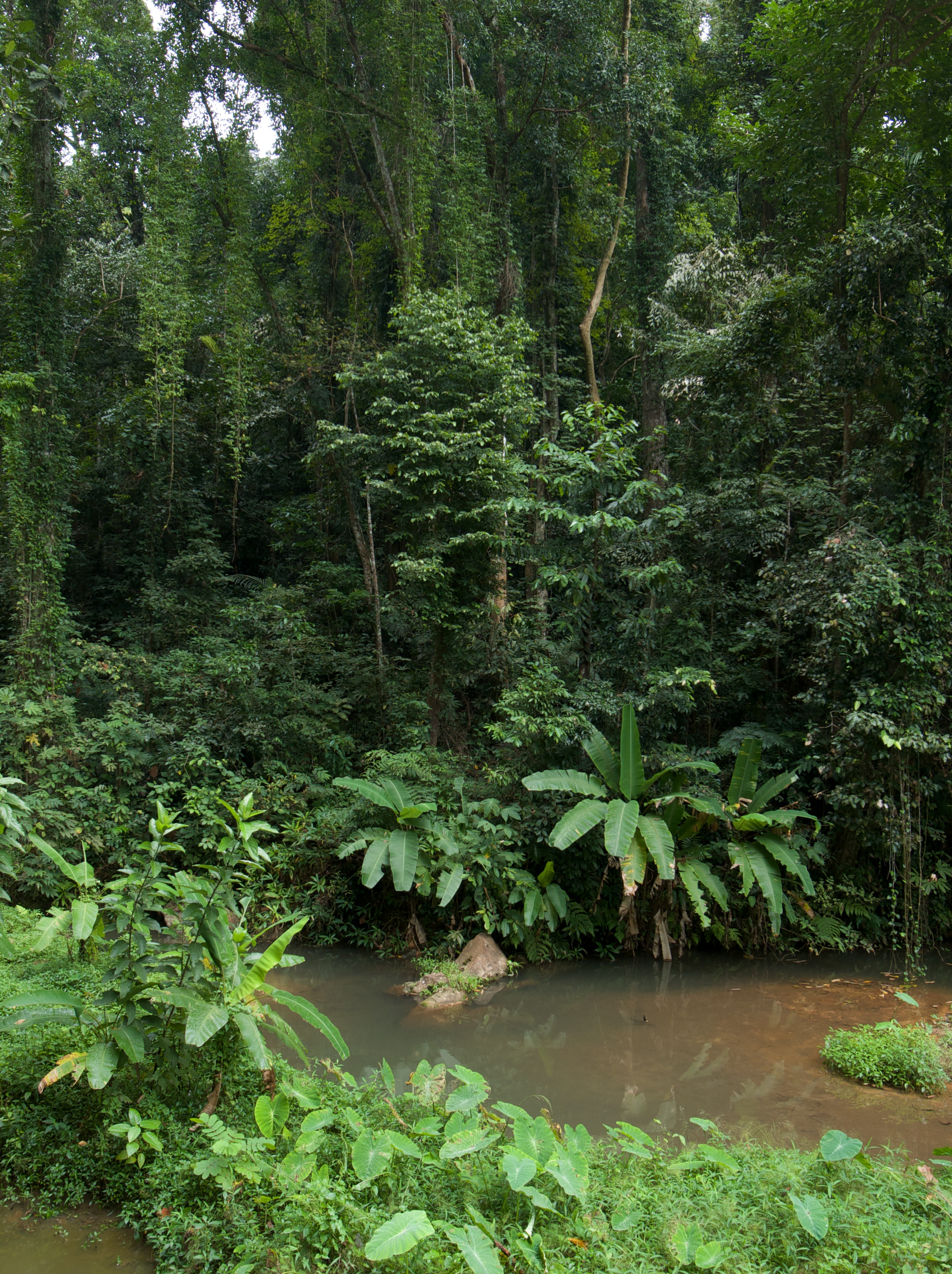 <b>F4 / GR DIGITAL III / RAW / 約4.7MB / 2,732×3,656 / 1/10秒 / -1.0EV / ISO64 / WB:屋外 / 6mm</b>