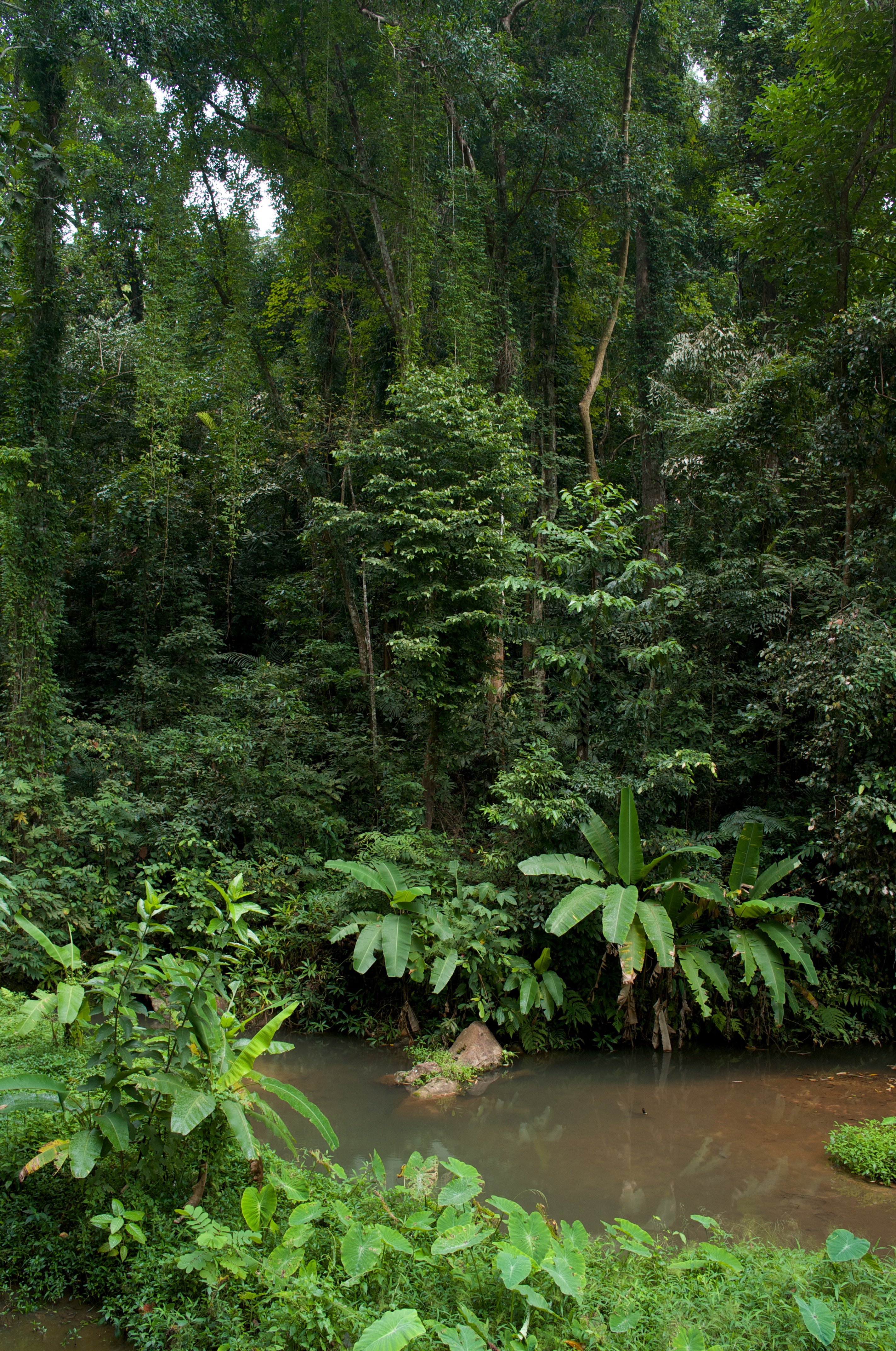 <b>F5.6 / GXR A12 / GR LENS A12 28mm F2.5 / RAW / 約6.2MB / 2,846×4,288 / 1/16秒 / -1.0EV / ISO200 / WB:屋外 / 18.3mm</b>