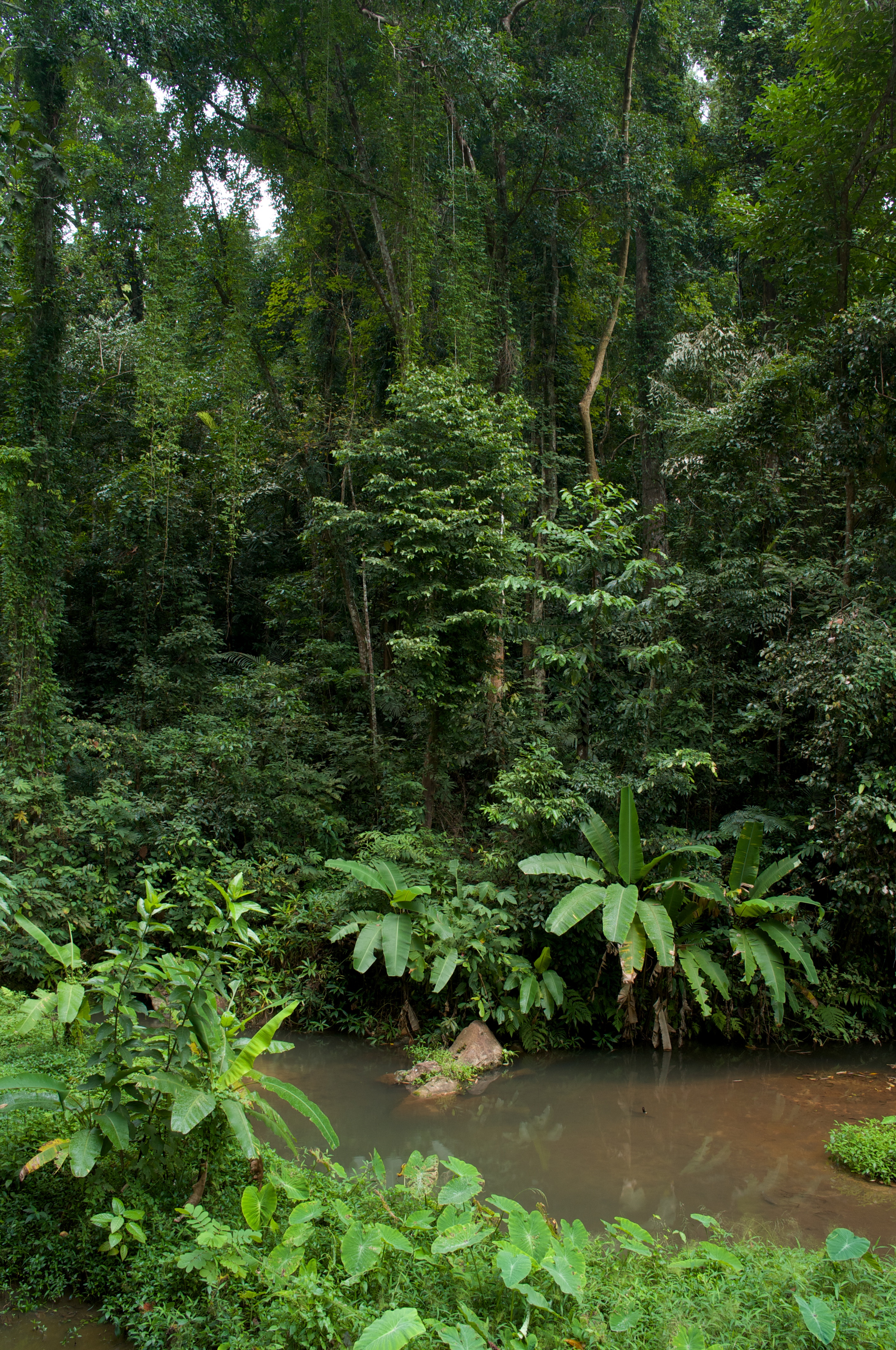 <b>F8 / GXR A12 / GR LENS A12 28mm F2.5 / RAW / 約6.1MB / 2,846×4,288 / 1/8秒 / -1.0EV / ISO200 / WB:屋外 / 18.3mm</b>