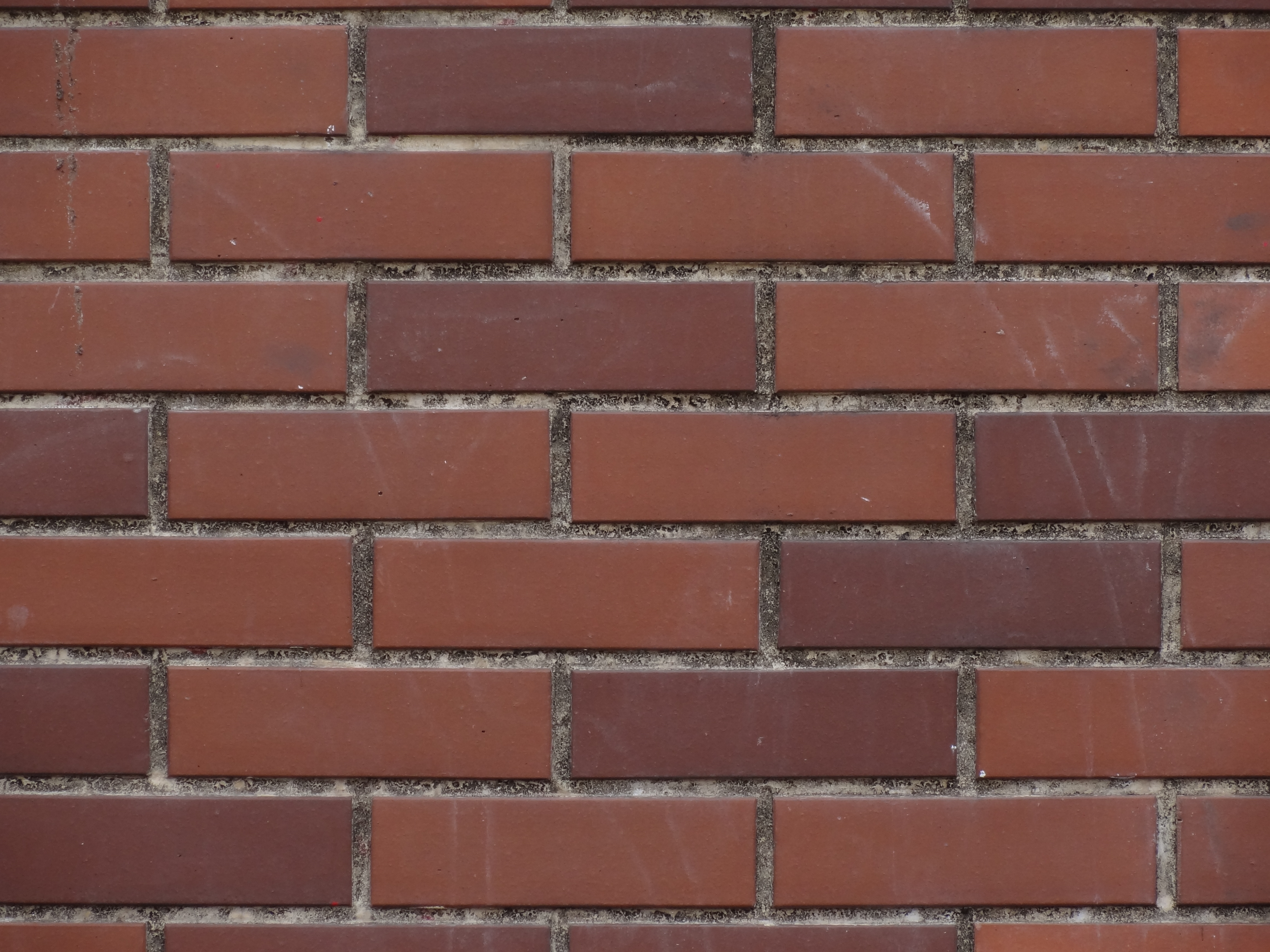 <b>望遠端（250mm相当） / DSC-HX7V / 約3.5MB / 4,608×3,456 / 1/125秒 / F5.5 / -0.3EV / ISO125 / WB:オート / 42.5mm</b>