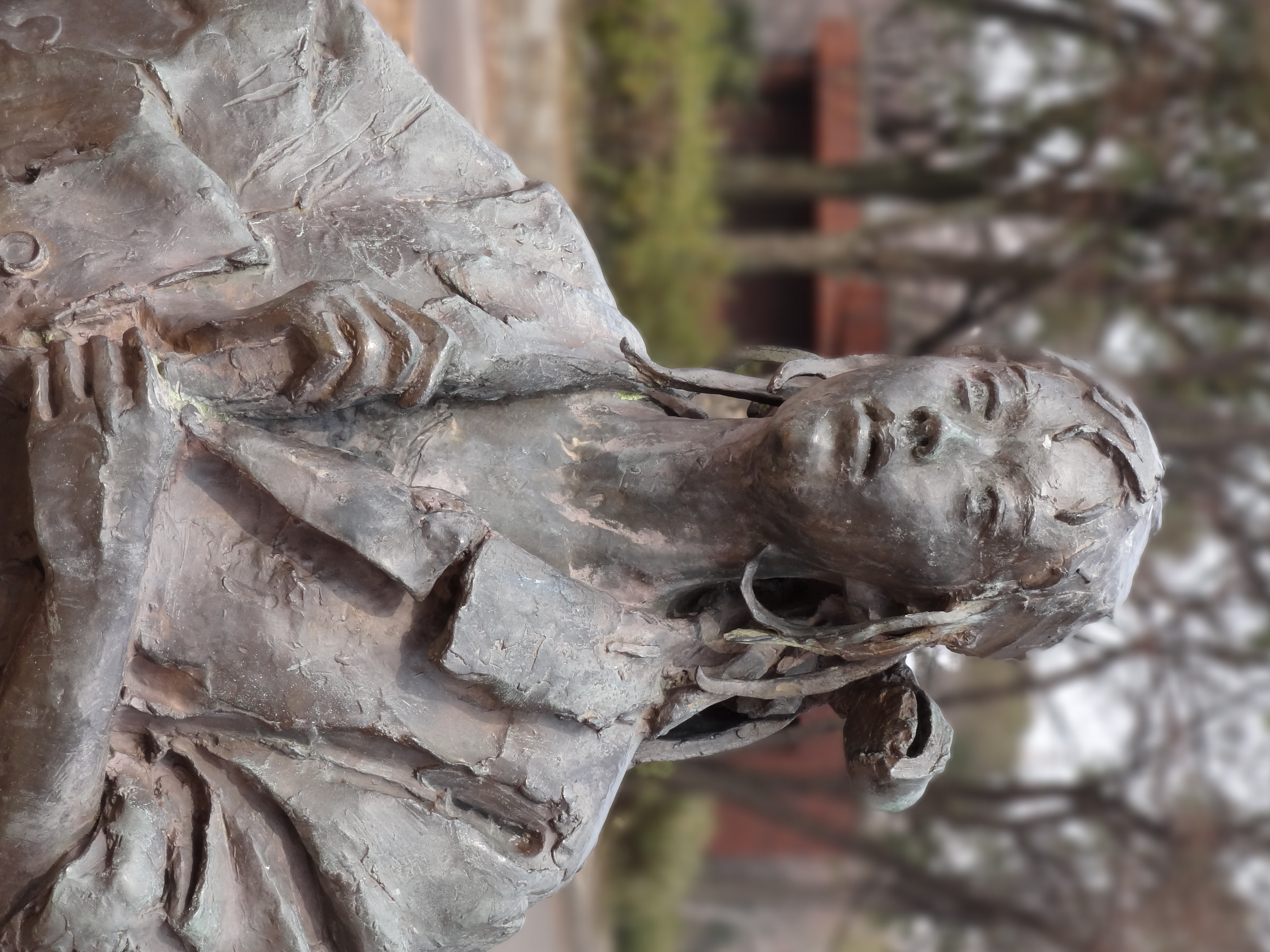 <b>背景ぼかしモード:Hi / DSC-HX7V / 約3.5MB / 3,456×4,608 / 1/200秒 / F5 / 0.0EV / ISO125 / WB:オート / 22.8mm</b>