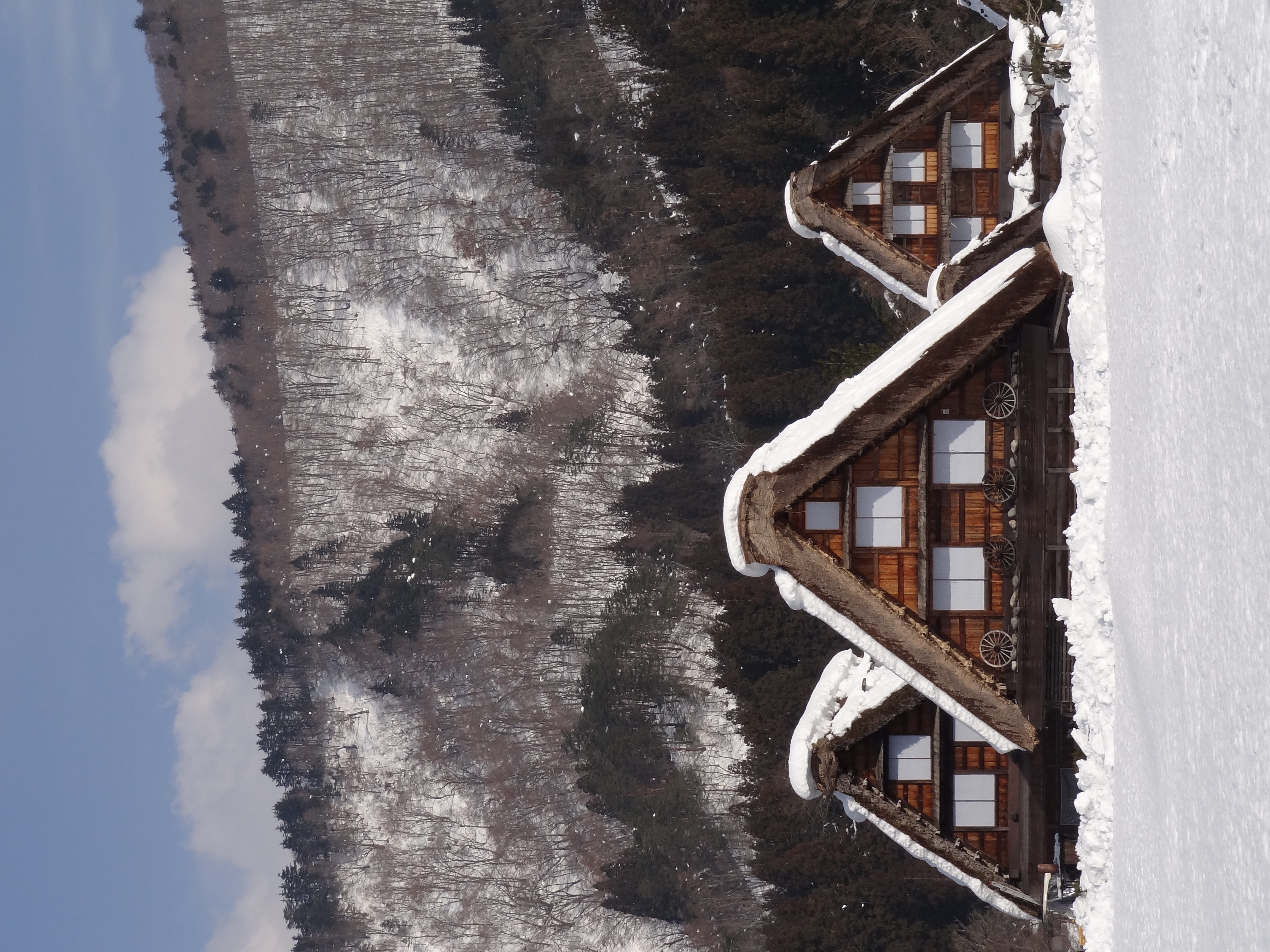 <b>DSC-HX7V / 約4.5MB / 3,456×4,608 / 1/1,250秒 / F5 / -0.3EV / ISO125 / WB:オート / 15.3mm</b>