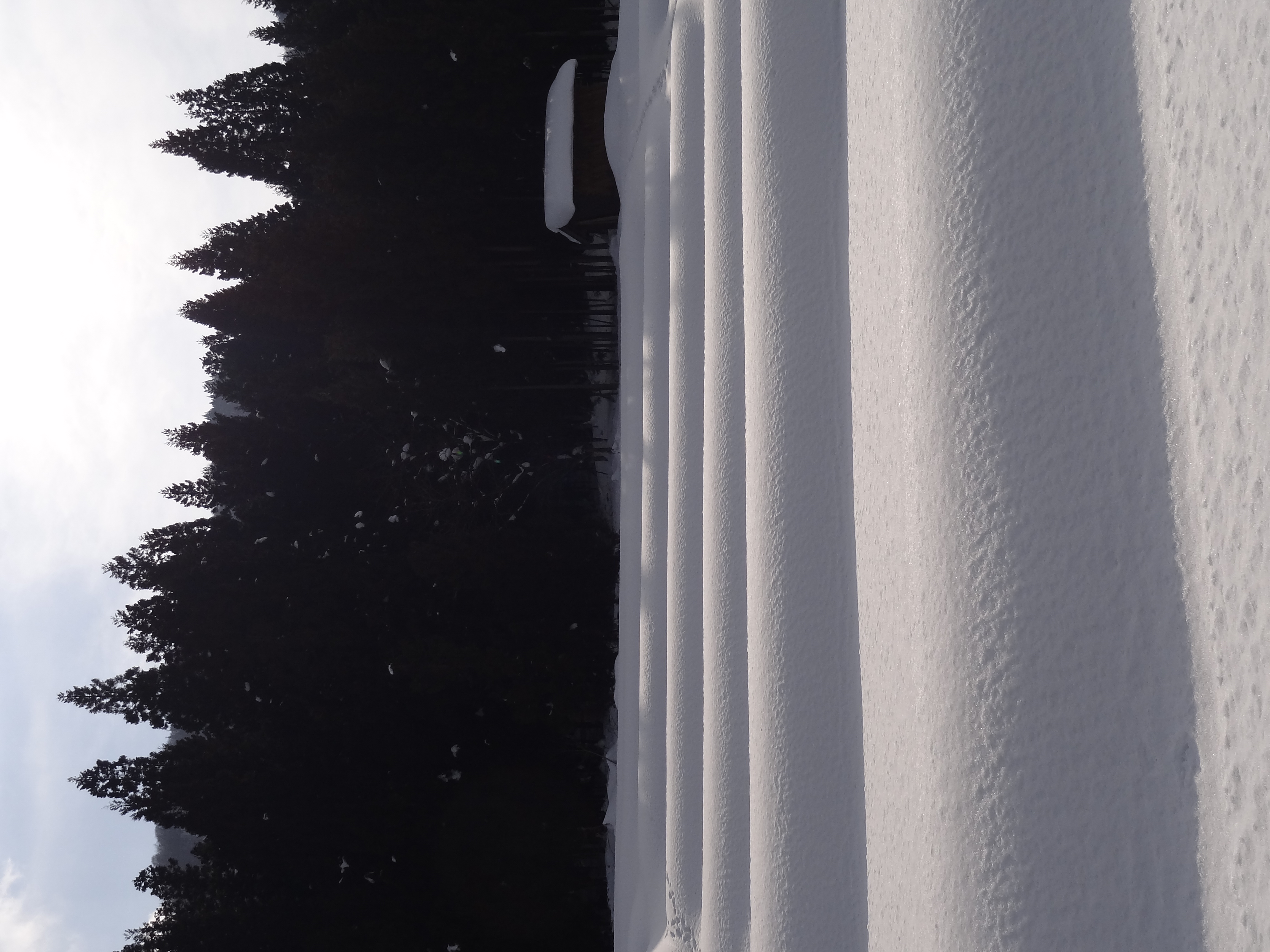 <b>DSC-HX7V / 約2.8MB / 3,456×4,608 / 1/640秒 / F9 / -0.7EV / ISO125 / WB:オート / 7.4mm</b>