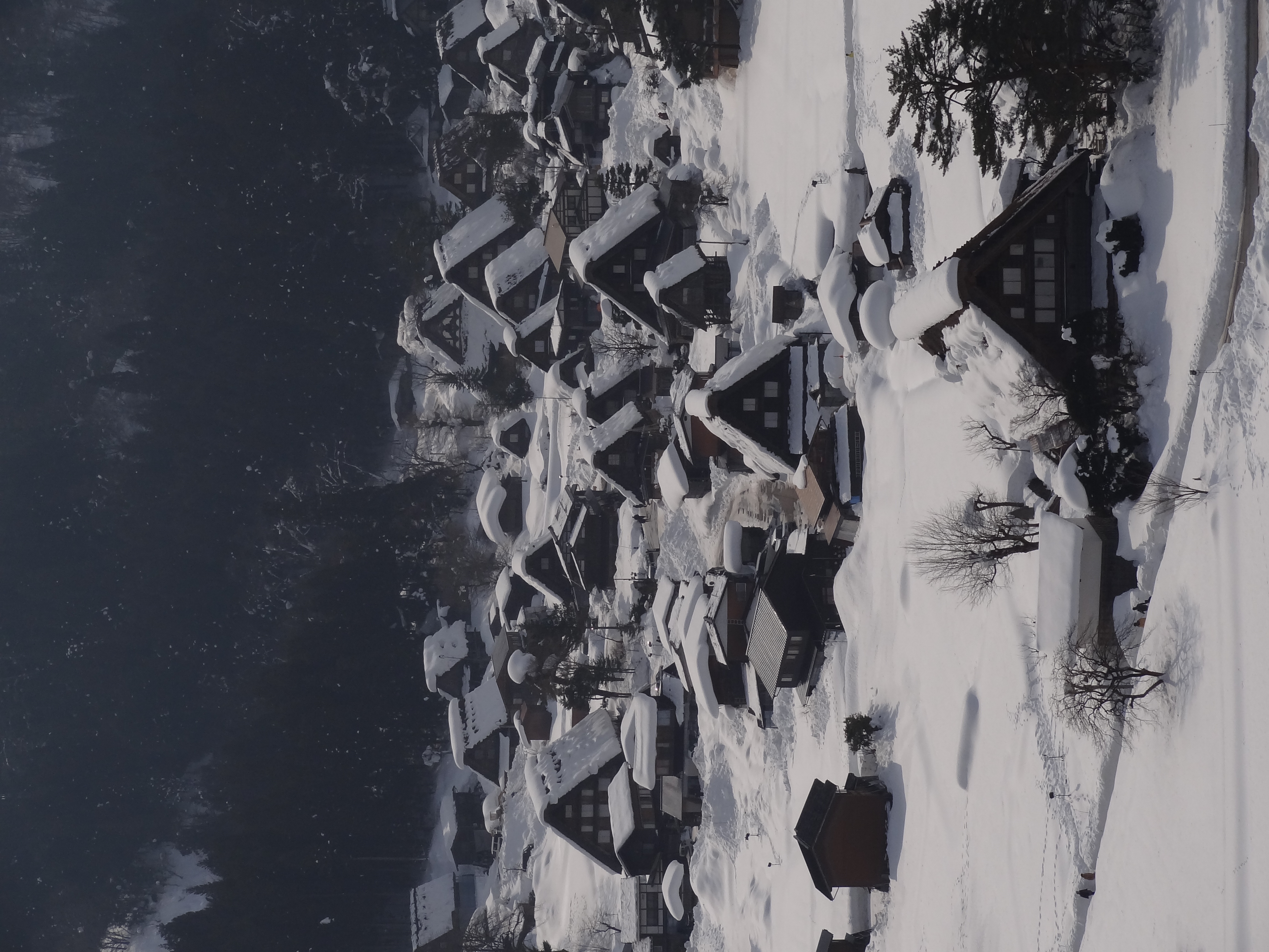 <b>DSC-HX7V / 約3.5MB / 3,456×4,608 / 1/500秒 / F11 / -0.7EV / ISO125 / WB:オート / 23.8mm</b>